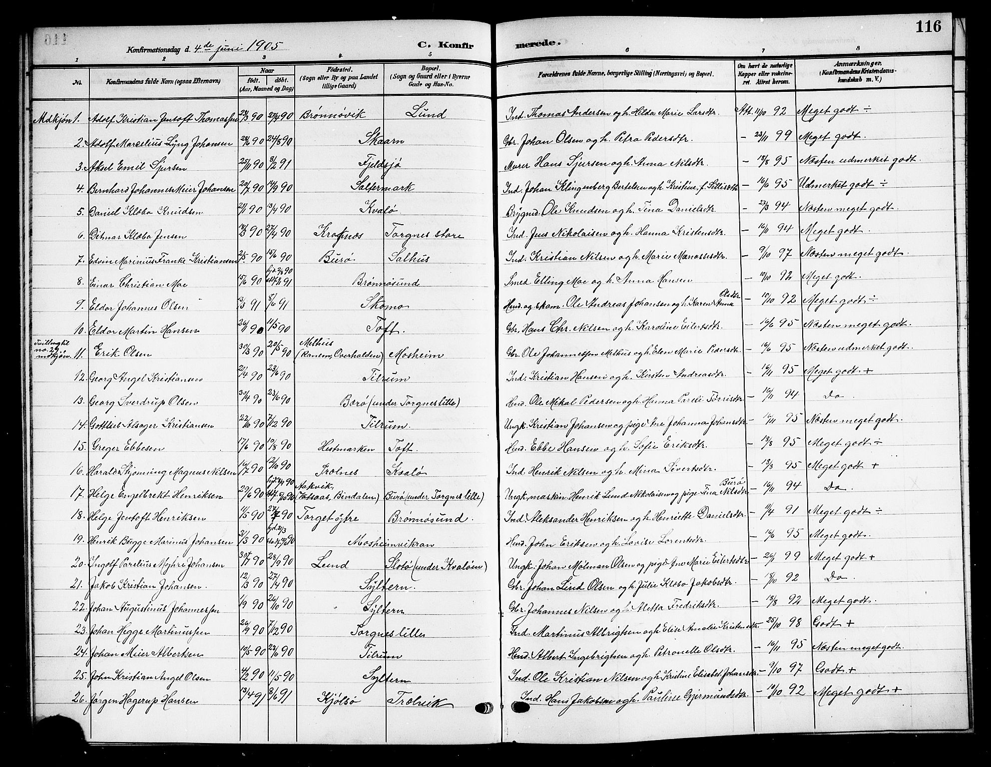 Ministerialprotokoller, klokkerbøker og fødselsregistre - Nordland, SAT/A-1459/813/L0214: Parish register (copy) no. 813C06, 1904-1917, p. 116