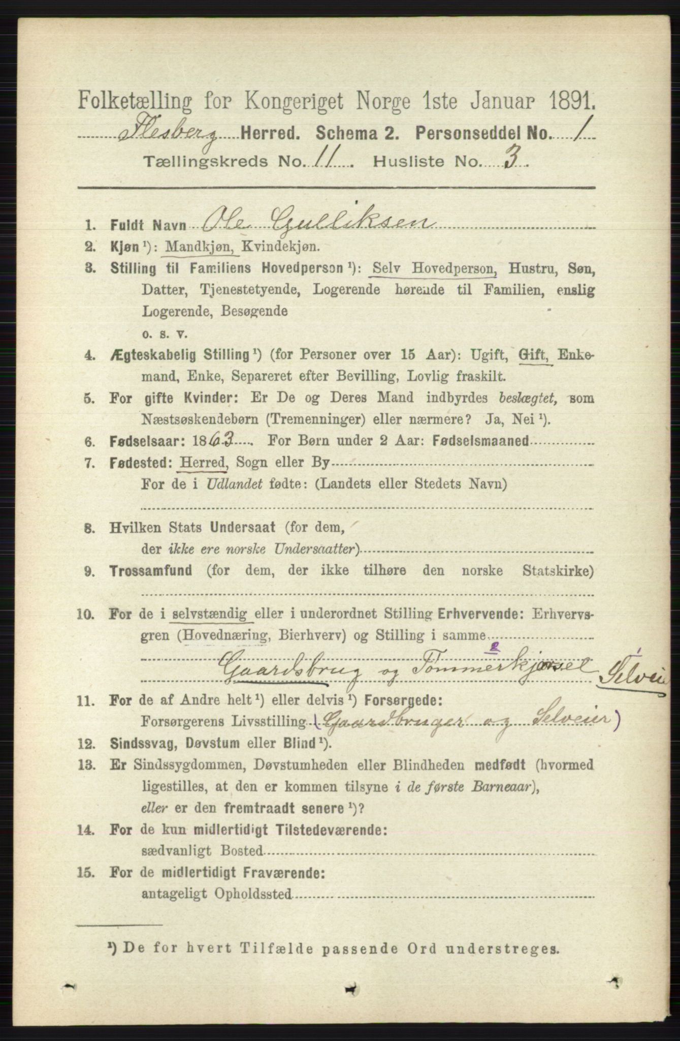 RA, 1891 census for 0631 Flesberg, 1891, p. 1781