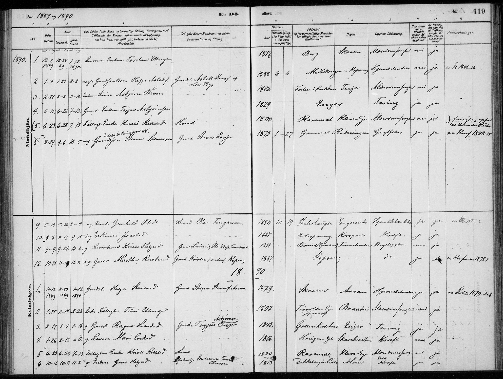 Sigdal kirkebøker, SAKO/A-245/F/Fc/L0001: Parish register (official) no. III 1, 1879-1893, p. 119