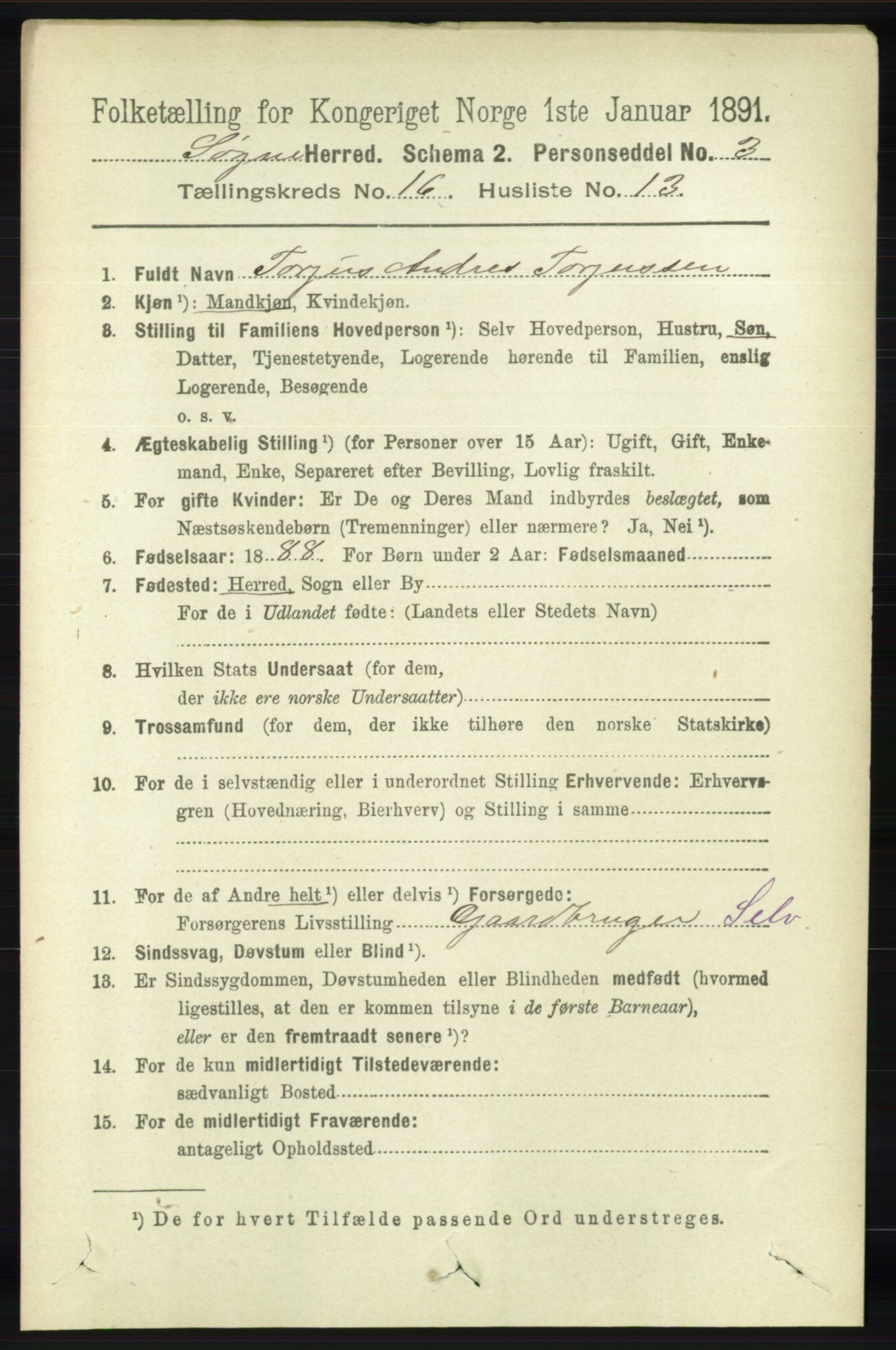 RA, 1891 census for 1018 Søgne, 1891, p. 4459