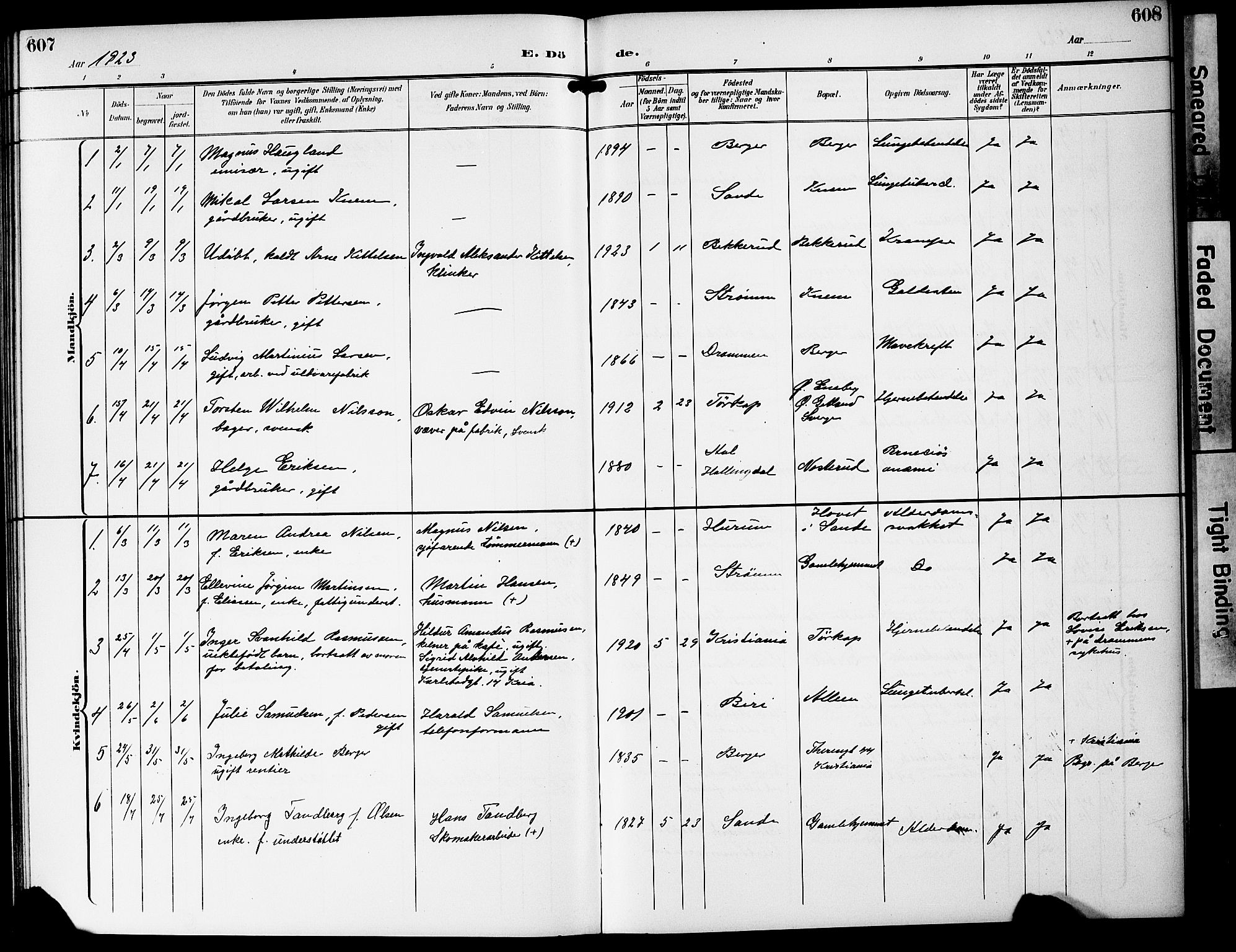 Strømm kirkebøker, AV/SAKO-A-322/G/Ga/L0004: Parish register (copy) no. I 4, 1897-1927, p. 607-608