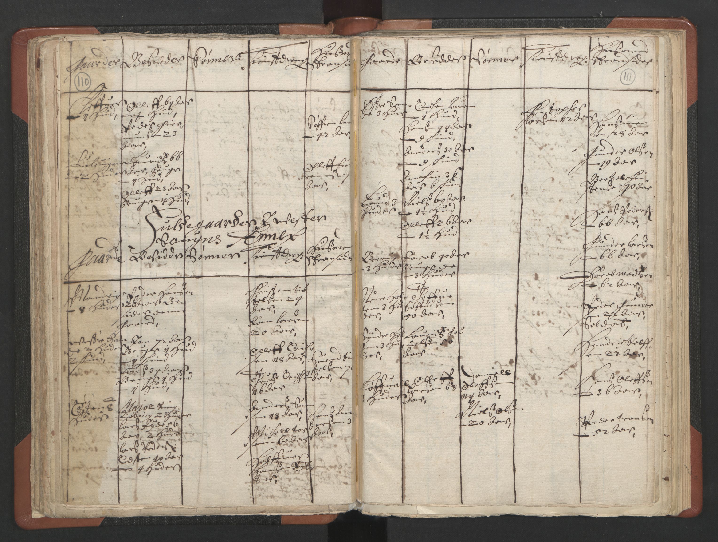 RA, Vicar's Census 1664-1666, no. 11: Brunlanes deanery, 1664-1666, p. 110-111