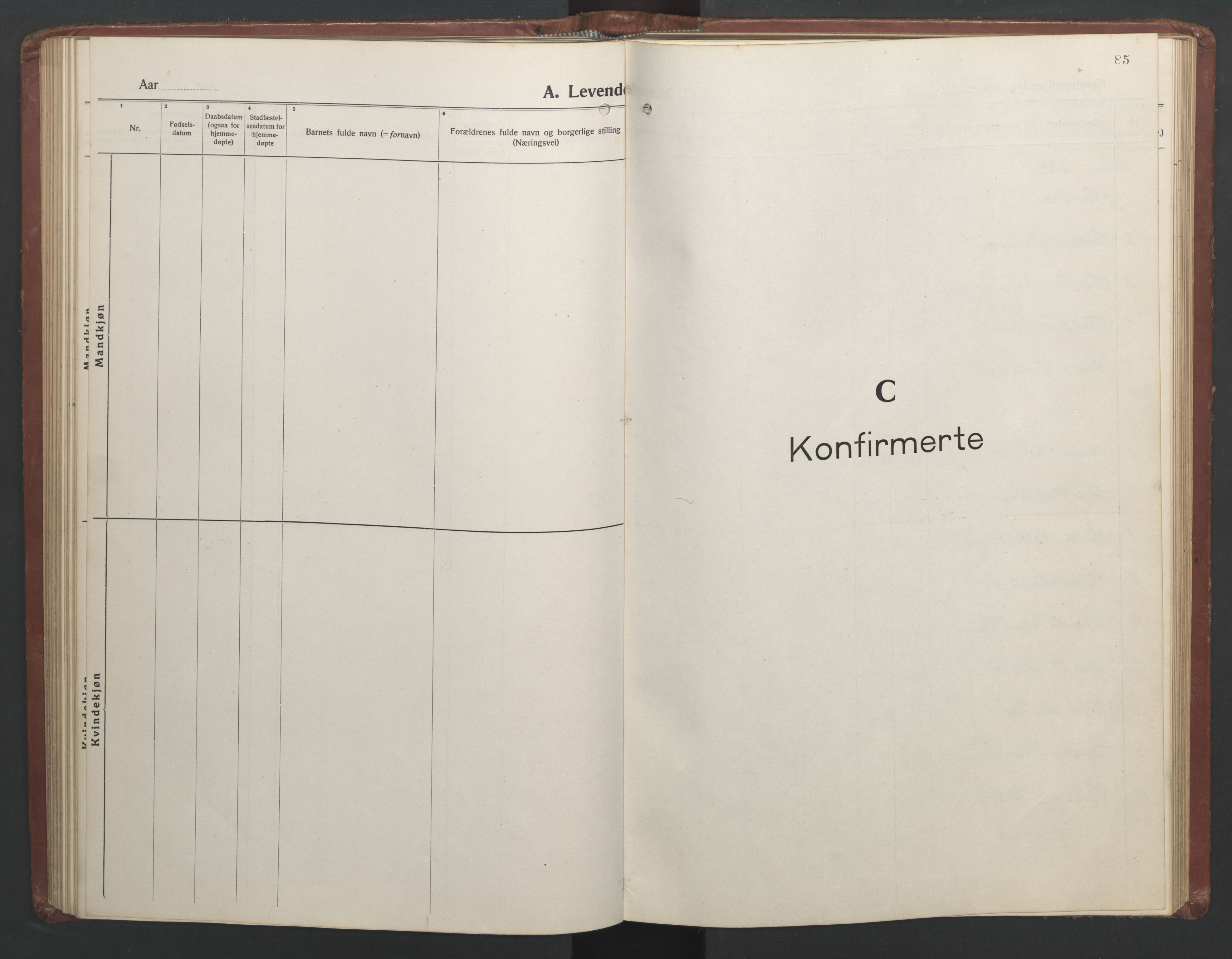 Ministerialprotokoller, klokkerbøker og fødselsregistre - Nordland, SAT/A-1459/808/L0132: Parish register (copy) no. 808C03, 1920-1946, p. 85
