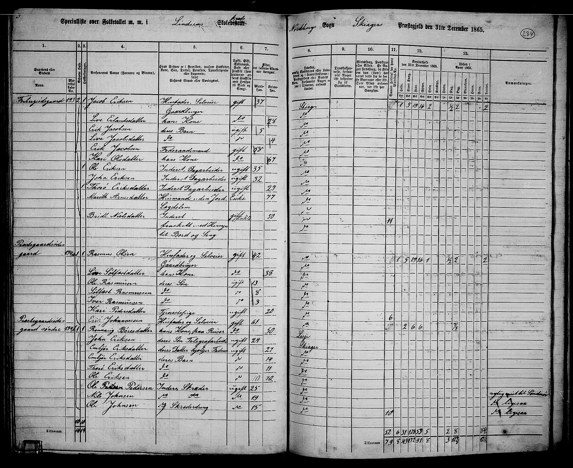 RA, 1865 census for Skjåk, 1865, p. 81