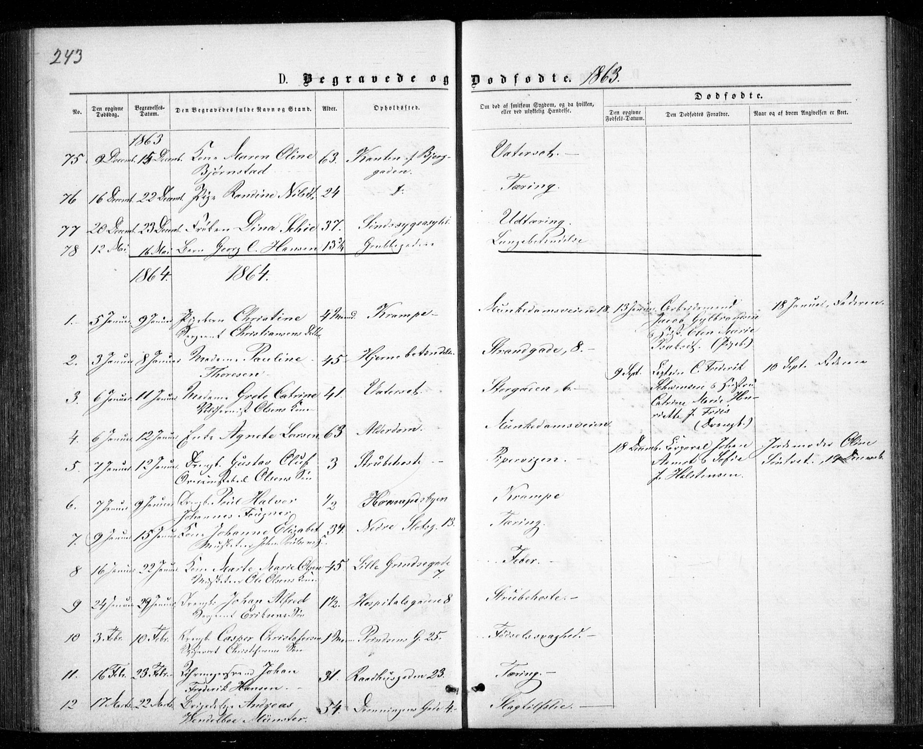 Garnisonsmenigheten Kirkebøker, SAO/A-10846/G/Ga/L0006: Parish register (copy) no. 6, 1860-1880, p. 243