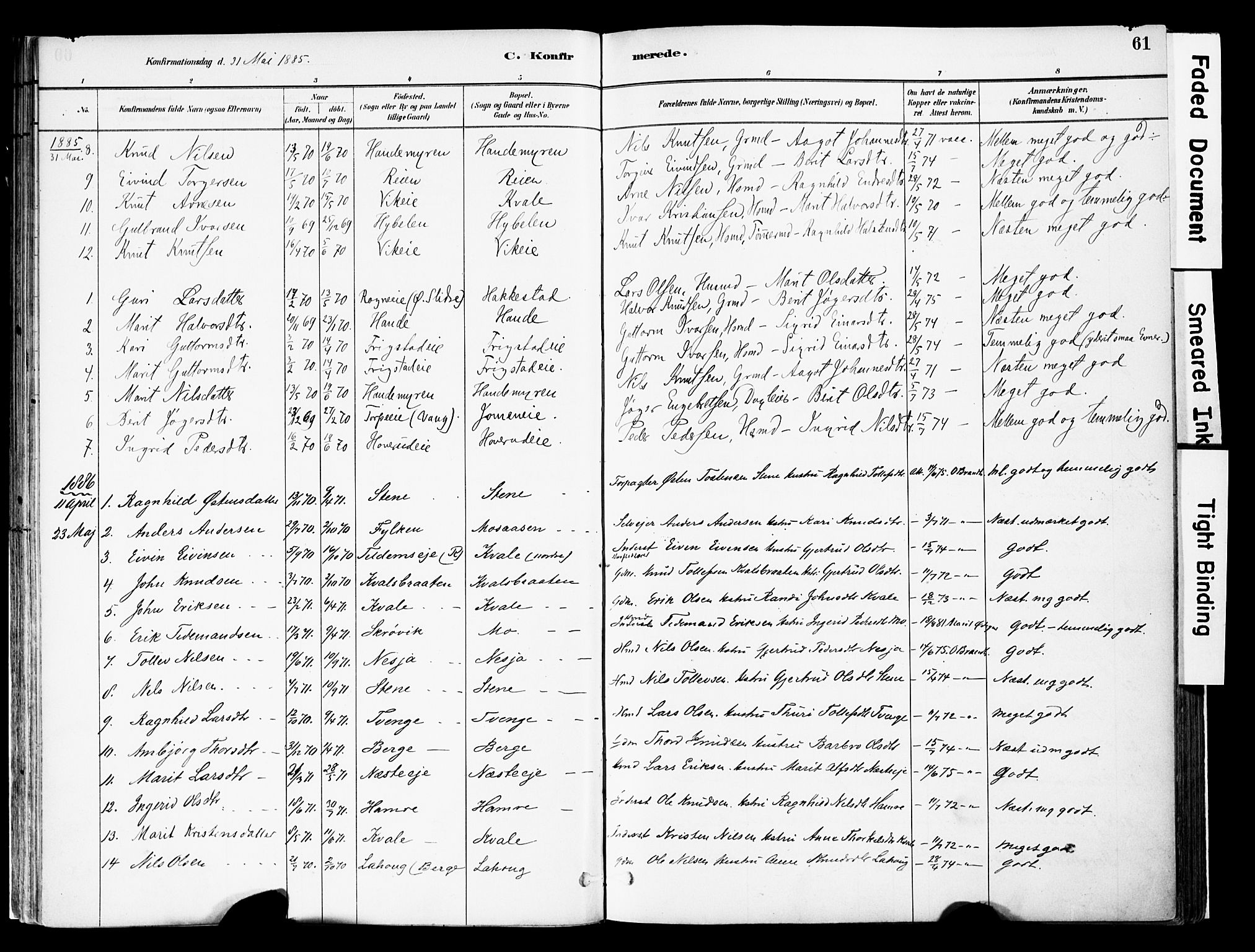 Vestre Slidre prestekontor, SAH/PREST-136/H/Ha/Haa/L0004: Parish register (official) no. 4, 1881-1911, p. 61
