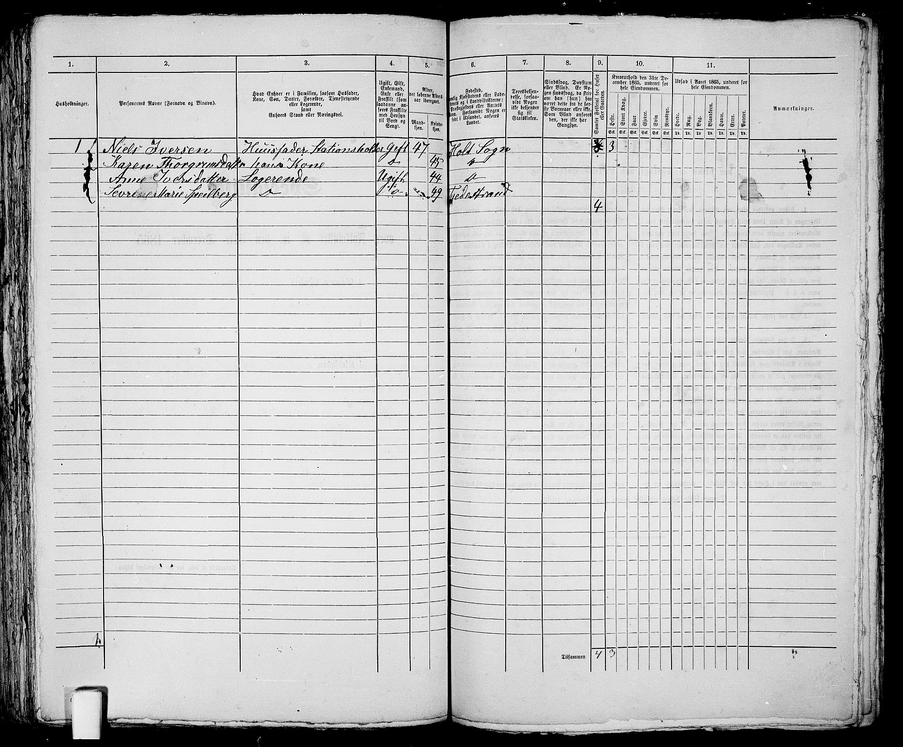 RA, 1865 census for Holt/Tvedestrand, 1865, p. 249