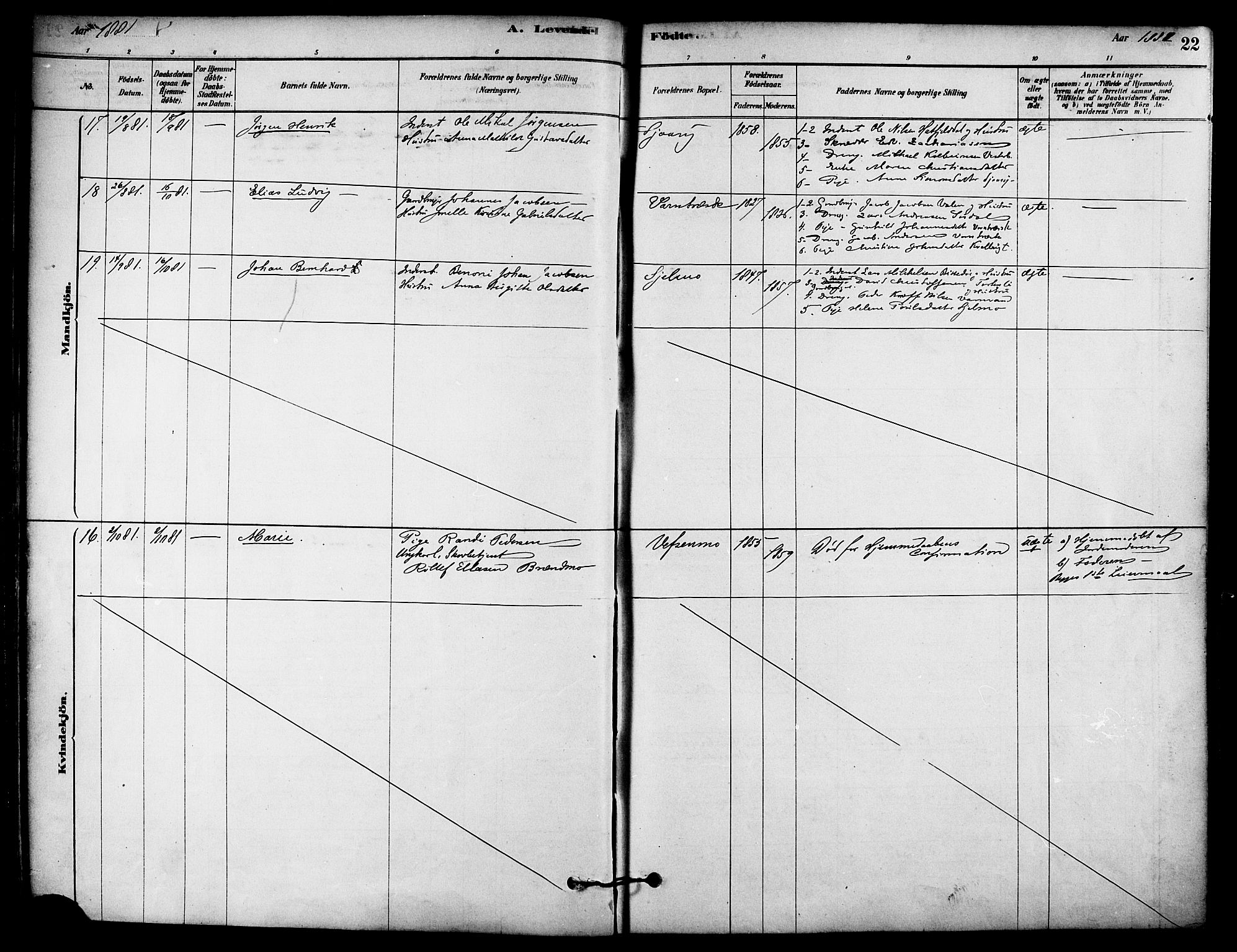 Ministerialprotokoller, klokkerbøker og fødselsregistre - Nordland, AV/SAT-A-1459/823/L0325: Parish register (official) no. 823A02, 1878-1898, p. 22