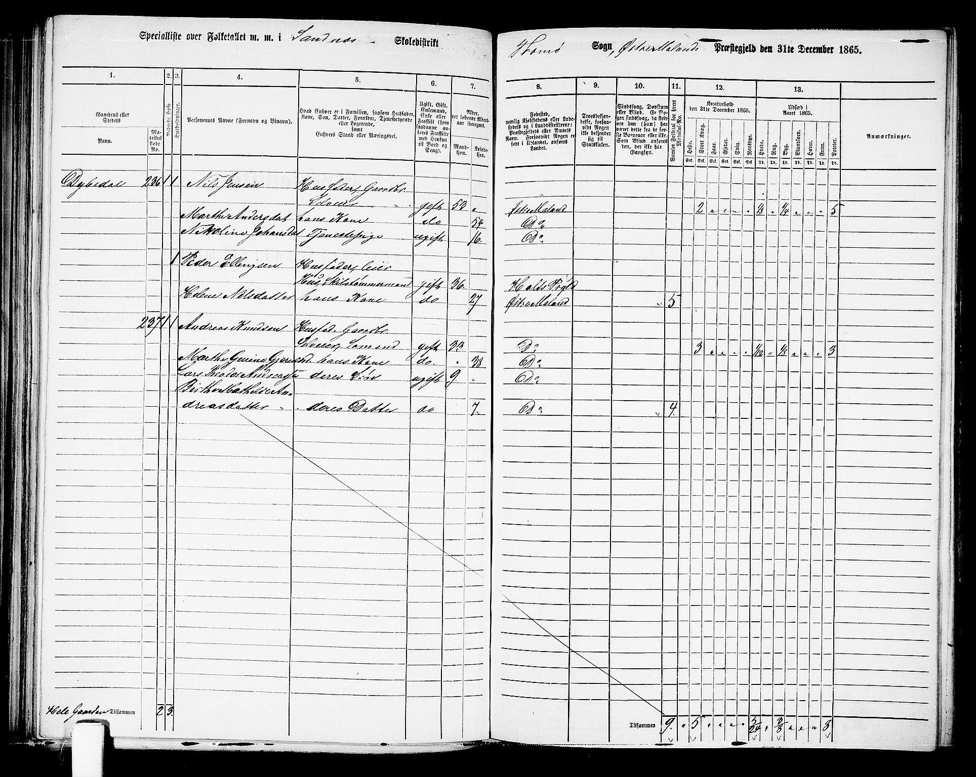 RA, 1865 census for Austre Moland, 1865, p. 204