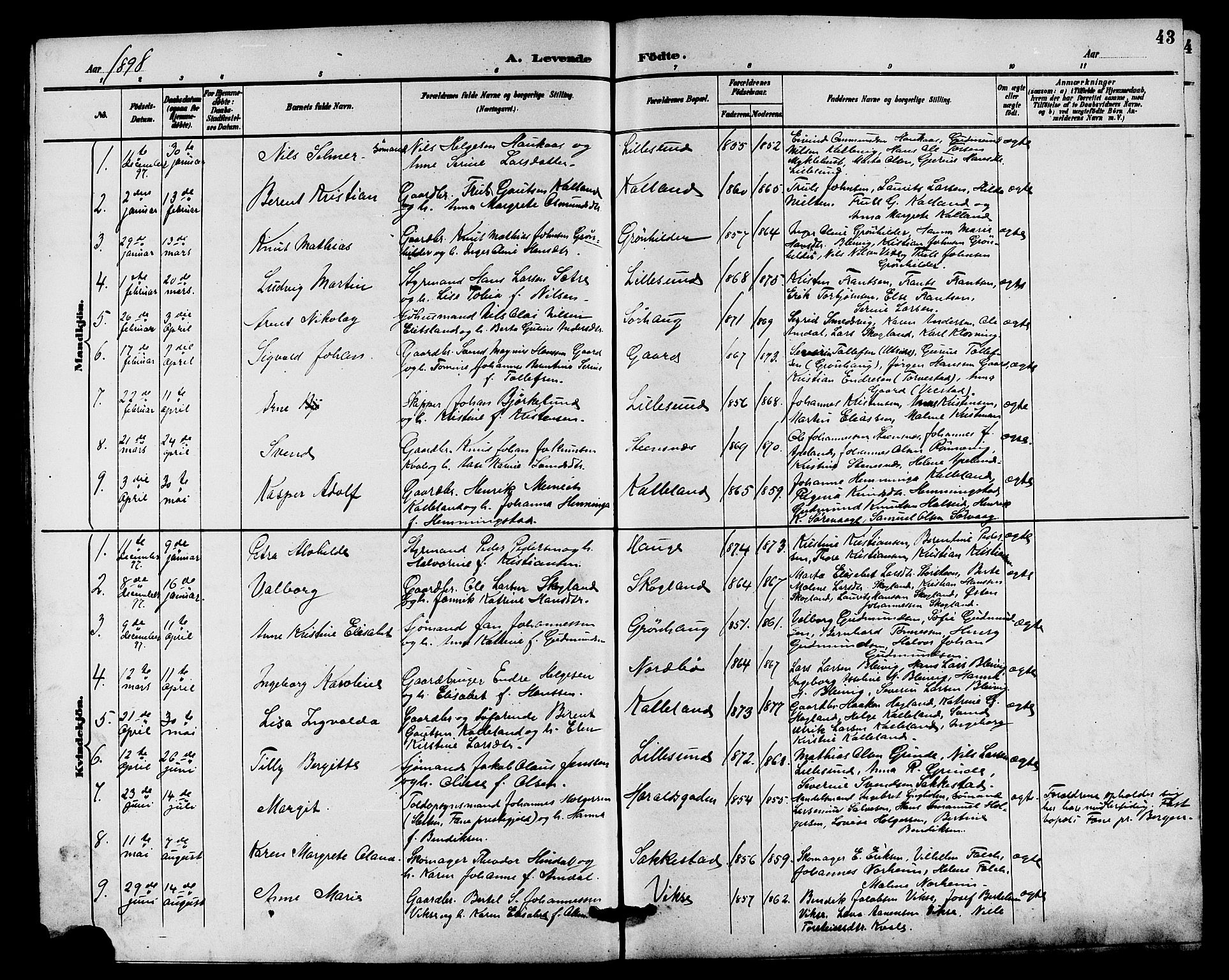 Haugesund sokneprestkontor, SAST/A -101863/H/Ha/Hab/L0004: Parish register (copy) no. B 4, 1889-1905, p. 43