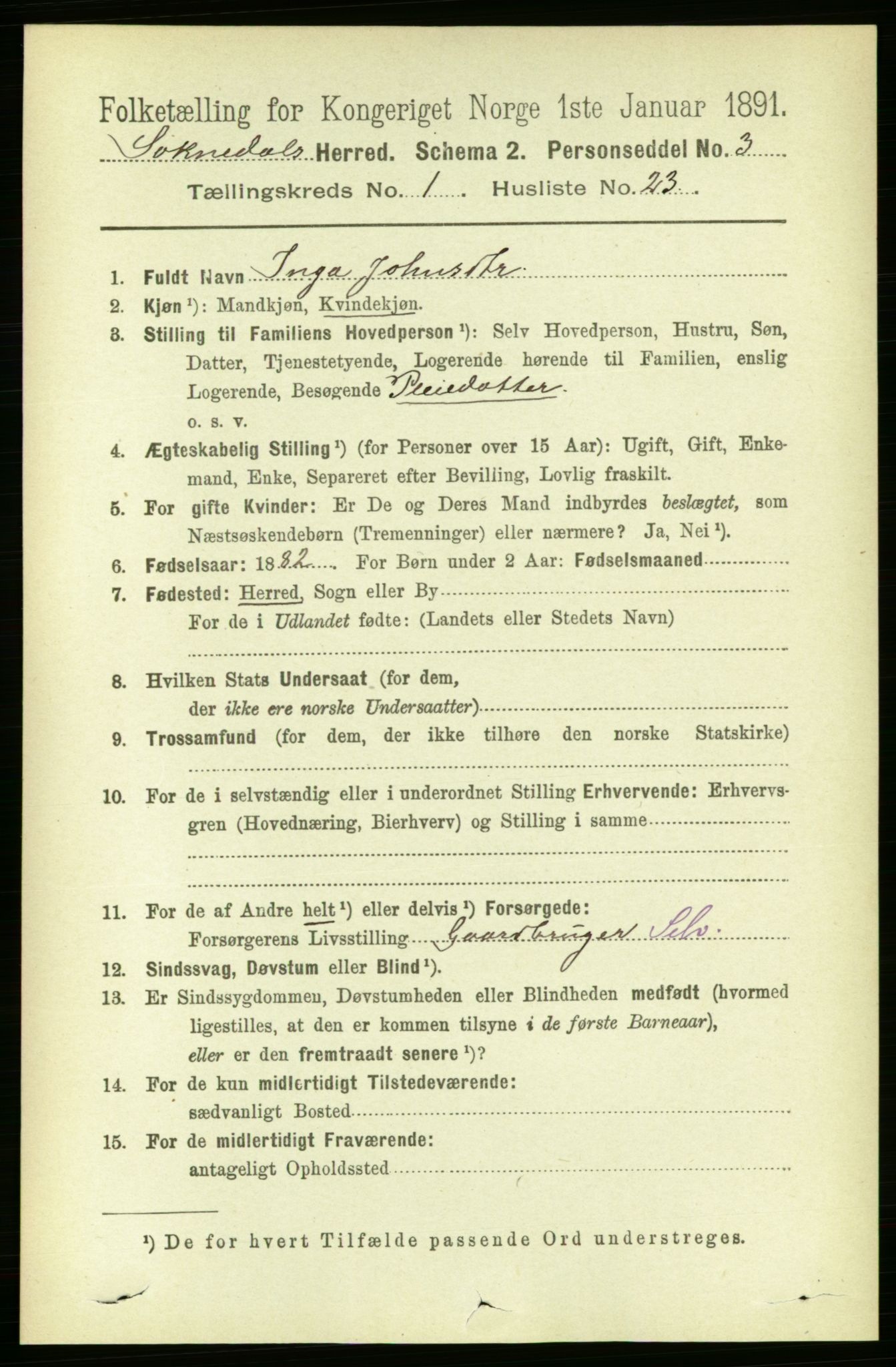 RA, 1891 census for 1649 Soknedal, 1891, p. 217