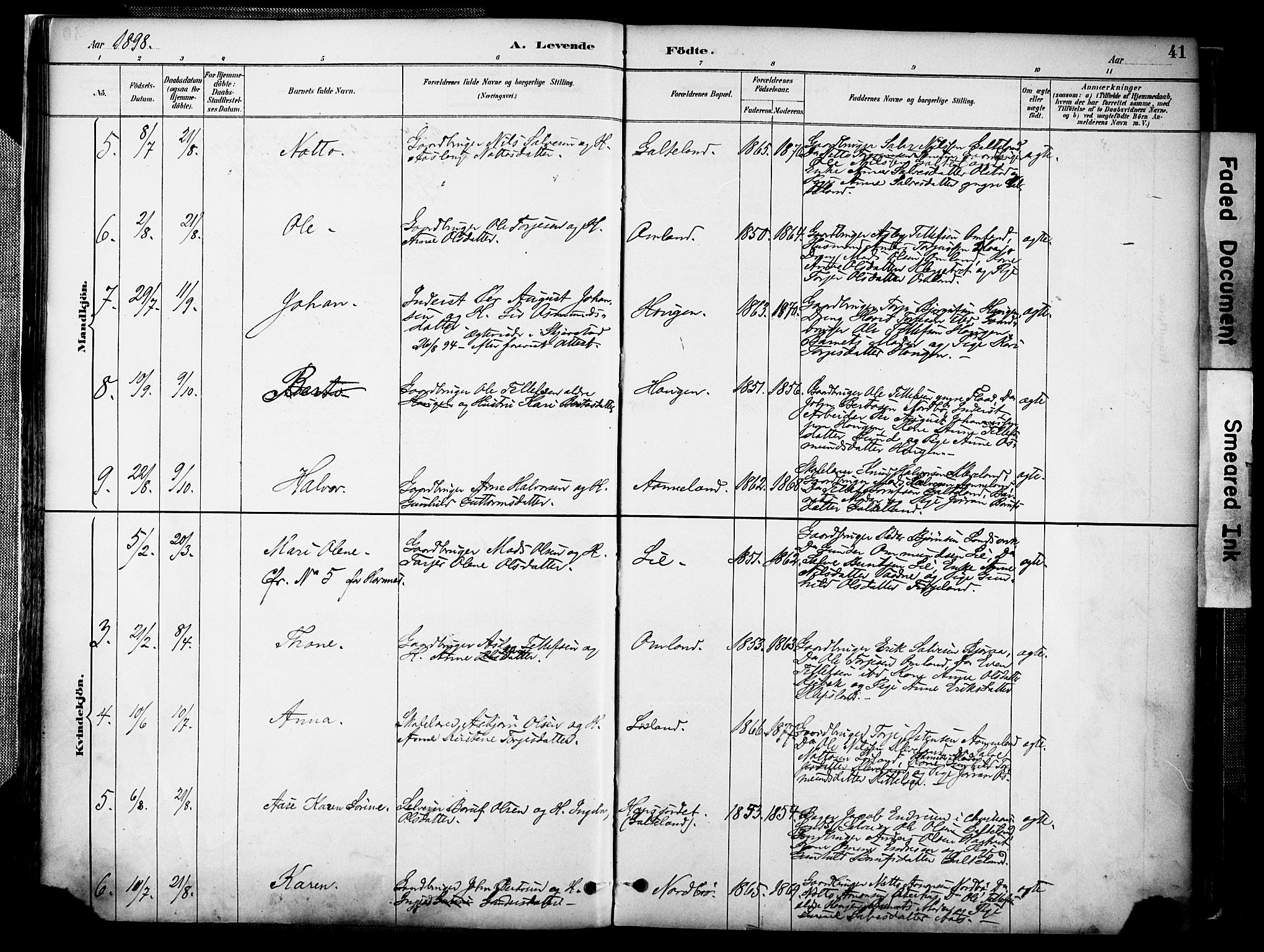 Evje sokneprestkontor, AV/SAK-1111-0008/F/Fa/Faa/L0007: Parish register (official) no. A 7, 1884-1909, p. 41