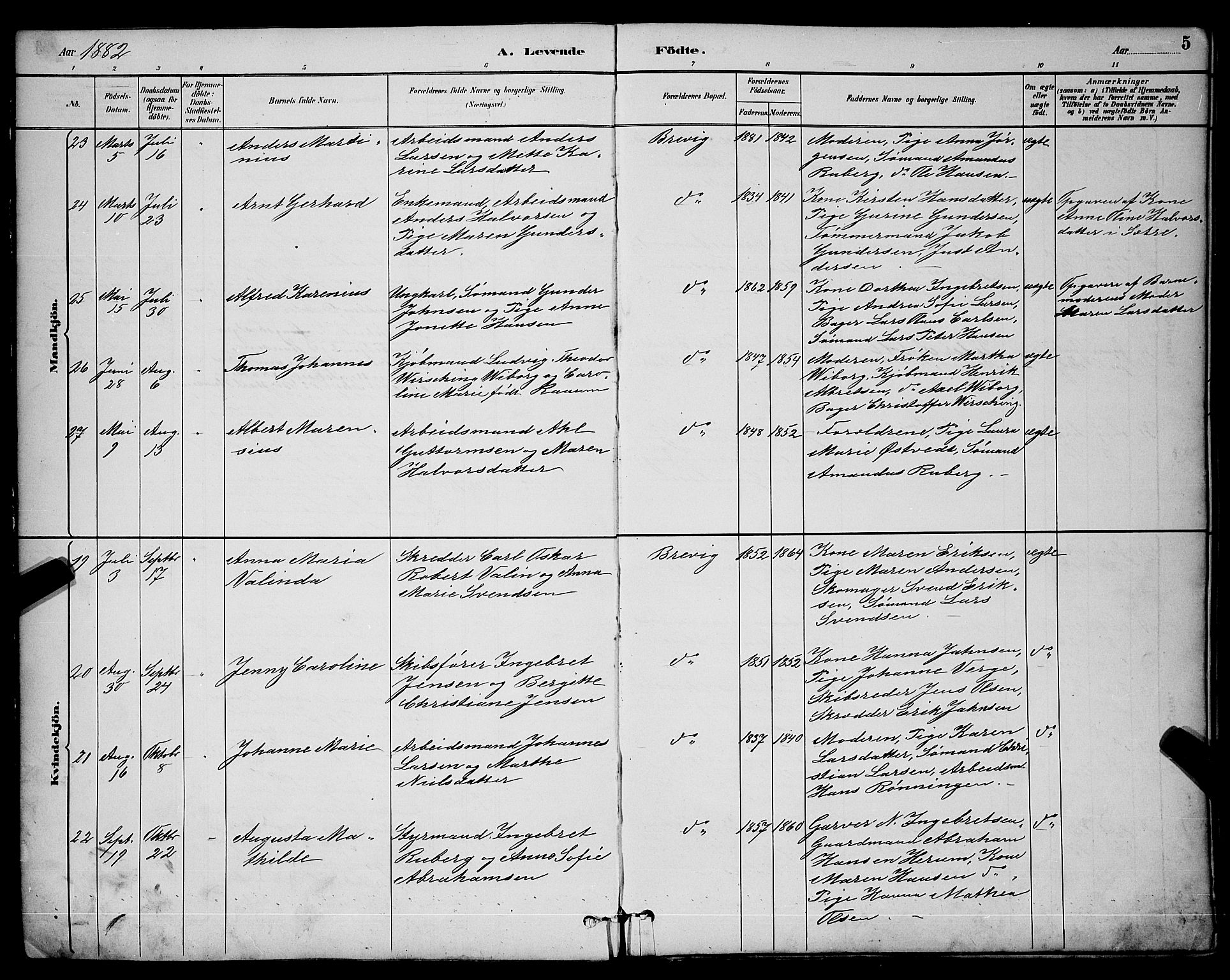 Brevik kirkebøker, AV/SAKO-A-255/G/Ga/L0004: Parish register (copy) no. 4, 1882-1900, p. 5