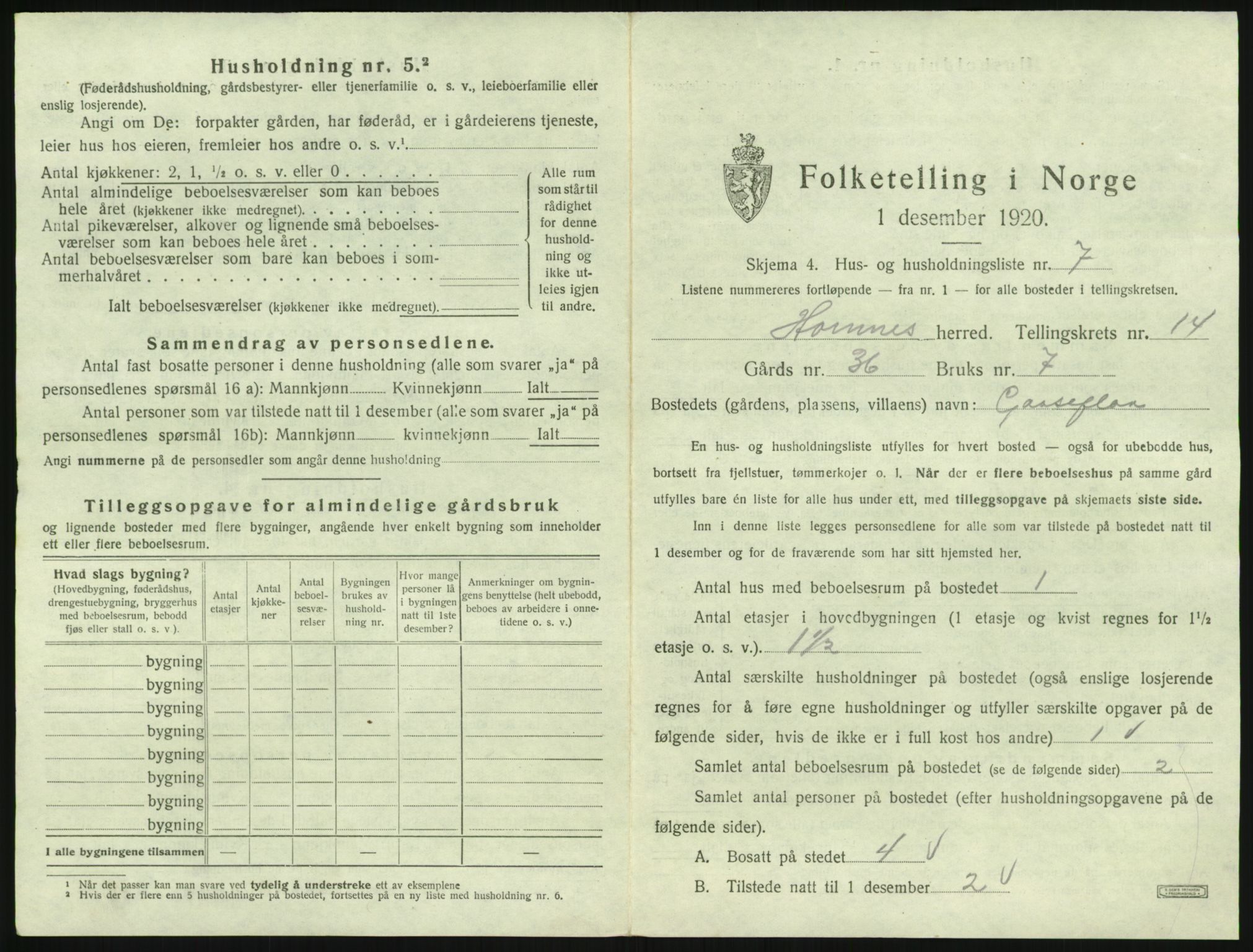 SAK, 1920 census for Hornnes, 1920, p. 551