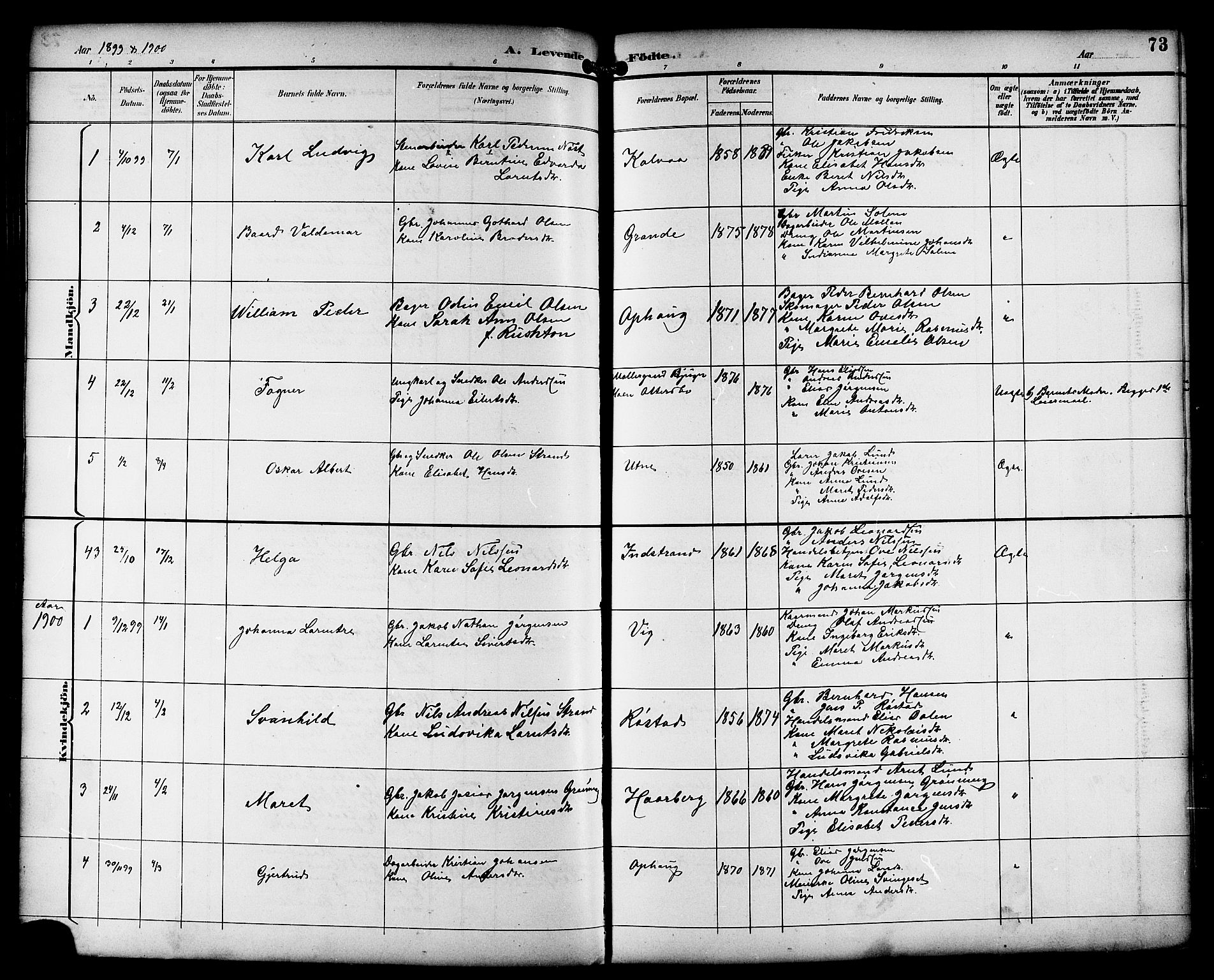 Ministerialprotokoller, klokkerbøker og fødselsregistre - Sør-Trøndelag, SAT/A-1456/659/L0746: Parish register (copy) no. 659C03, 1893-1912, p. 73