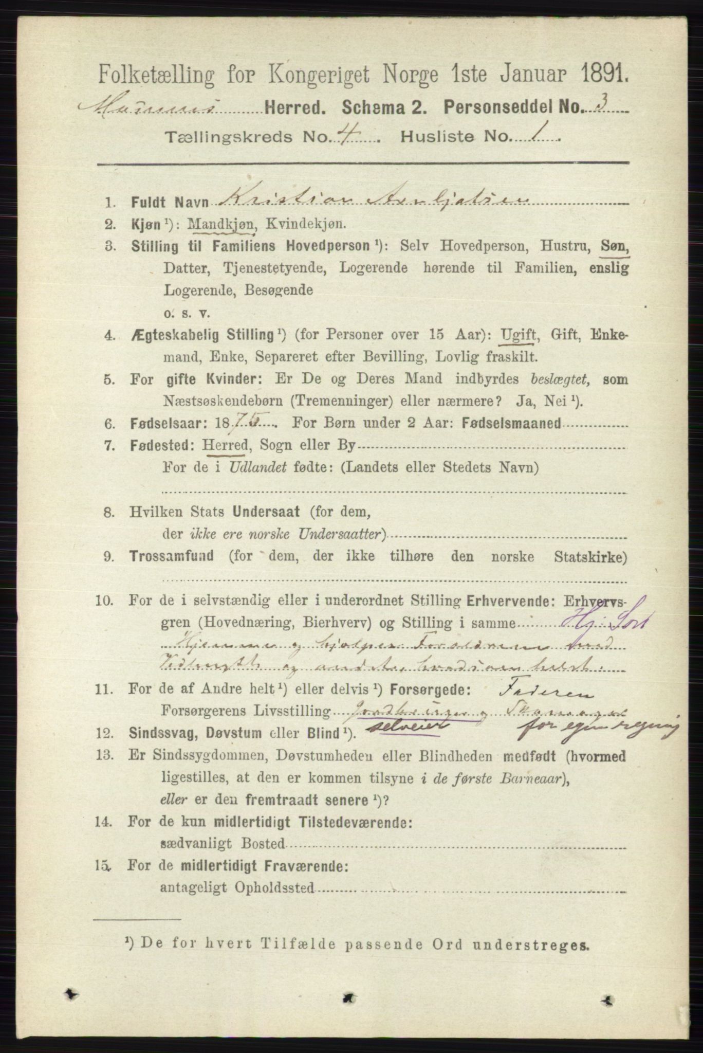 RA, 1891 census for 0623 Modum, 1891, p. 991