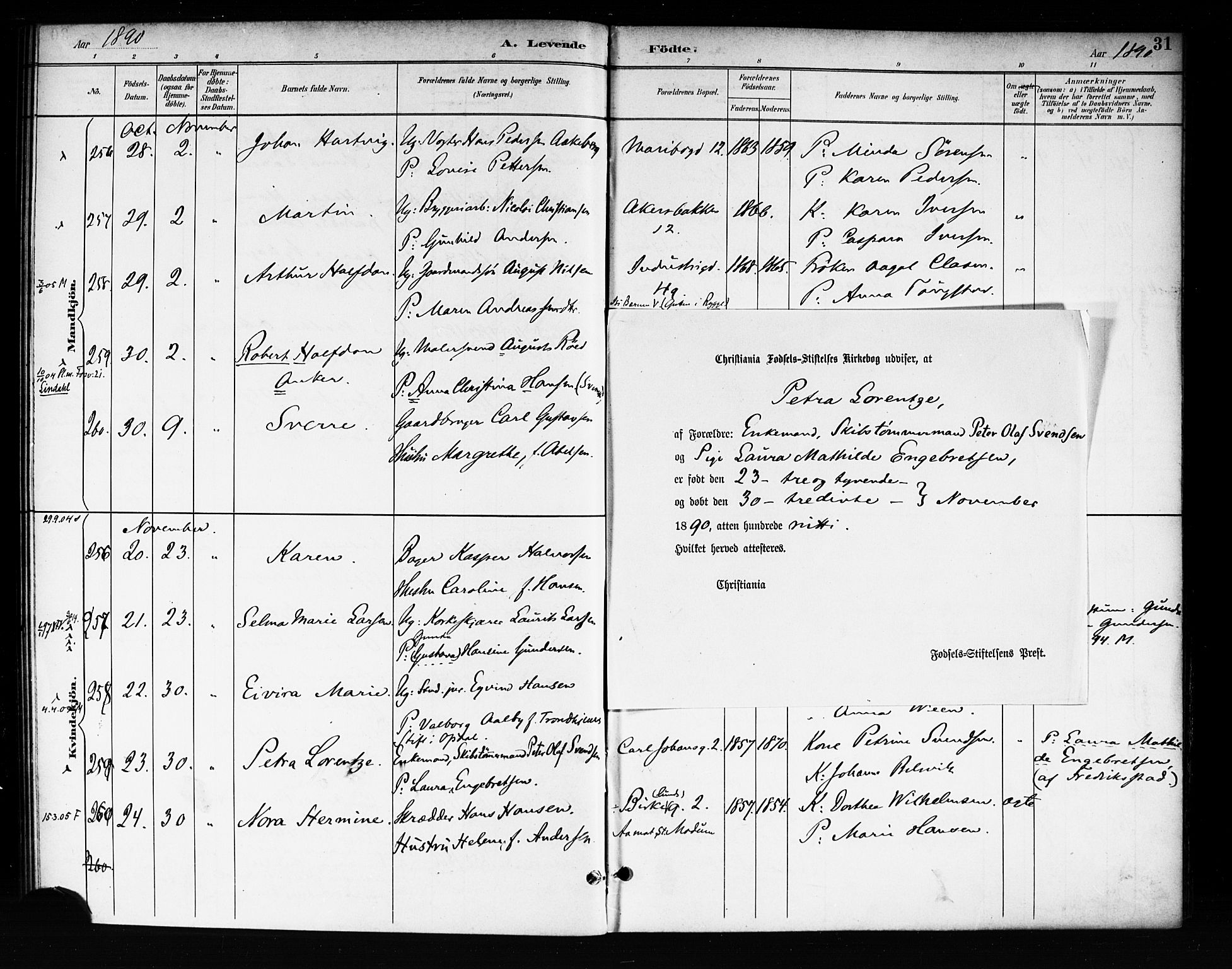 Rikshospitalet prestekontor Kirkebøker, SAO/A-10309b/F/L0008: Parish register (official) no. 8, 1890-1893, p. 31