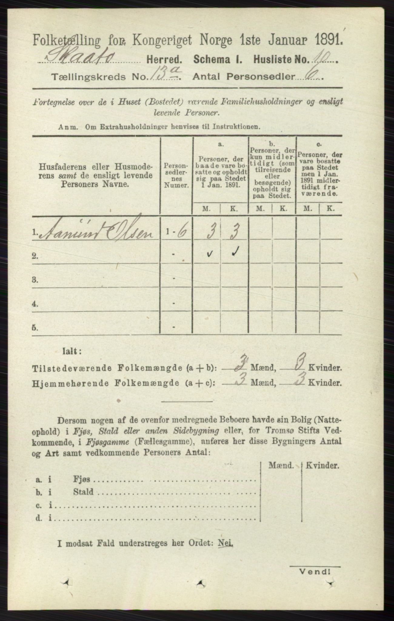 RA, 1891 census for 0815 Skåtøy, 1891, p. 4391