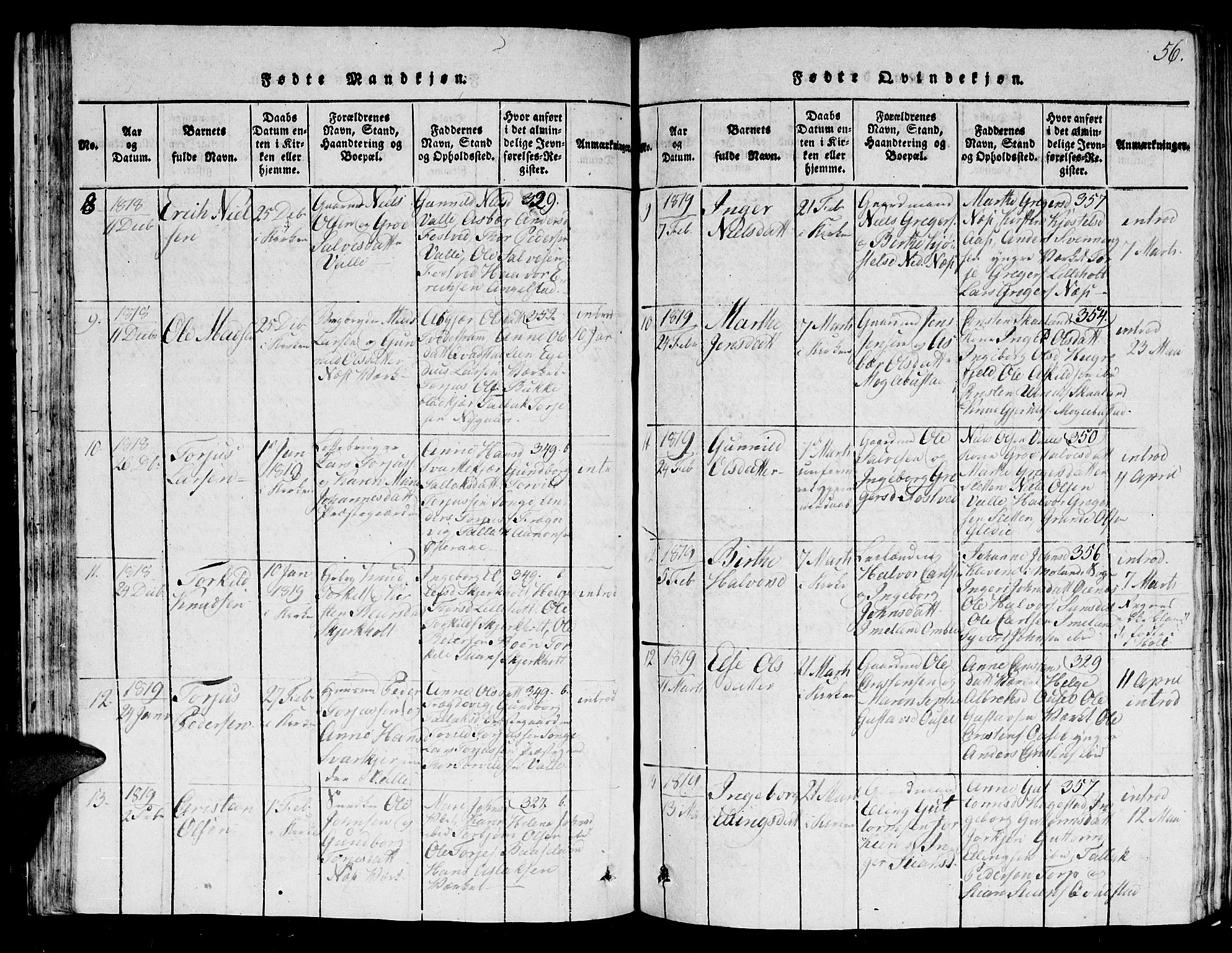 Holt sokneprestkontor, AV/SAK-1111-0021/F/Fb/L0006: Parish register (copy) no. B 6, 1813-1823, p. 56