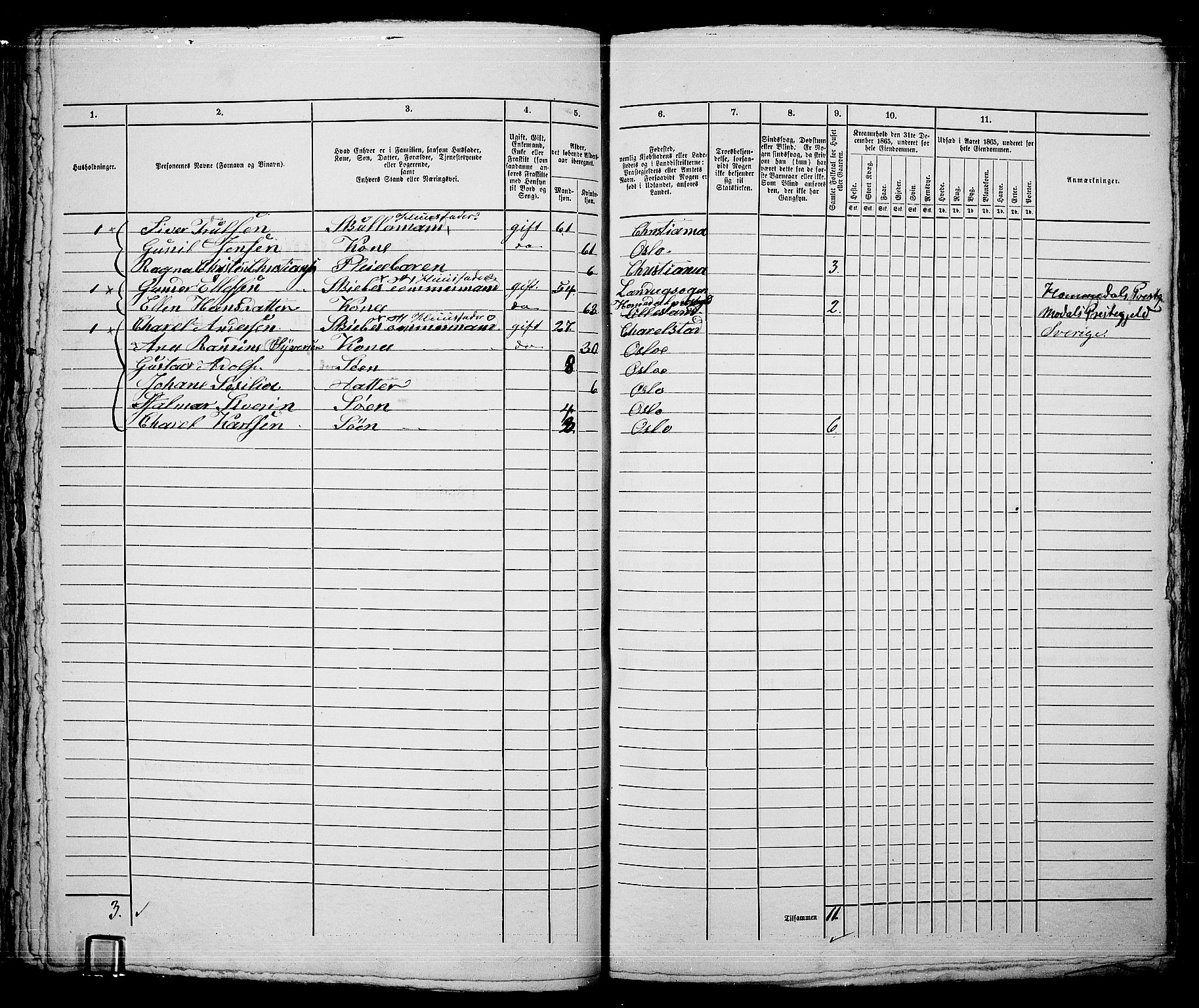 RA, 1865 census for Kristiania, 1865, p. 4216