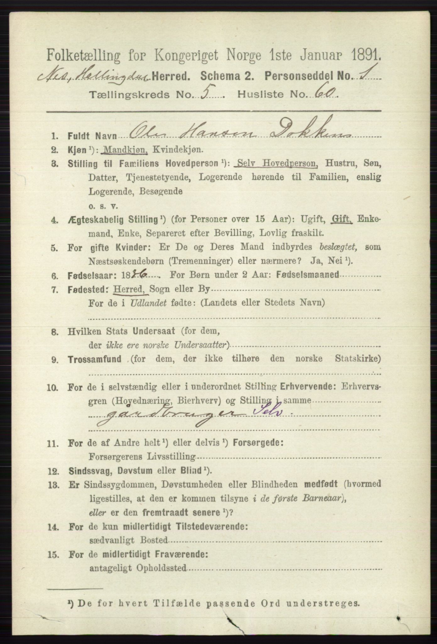 RA, 1891 census for 0616 Nes, 1891, p. 2940