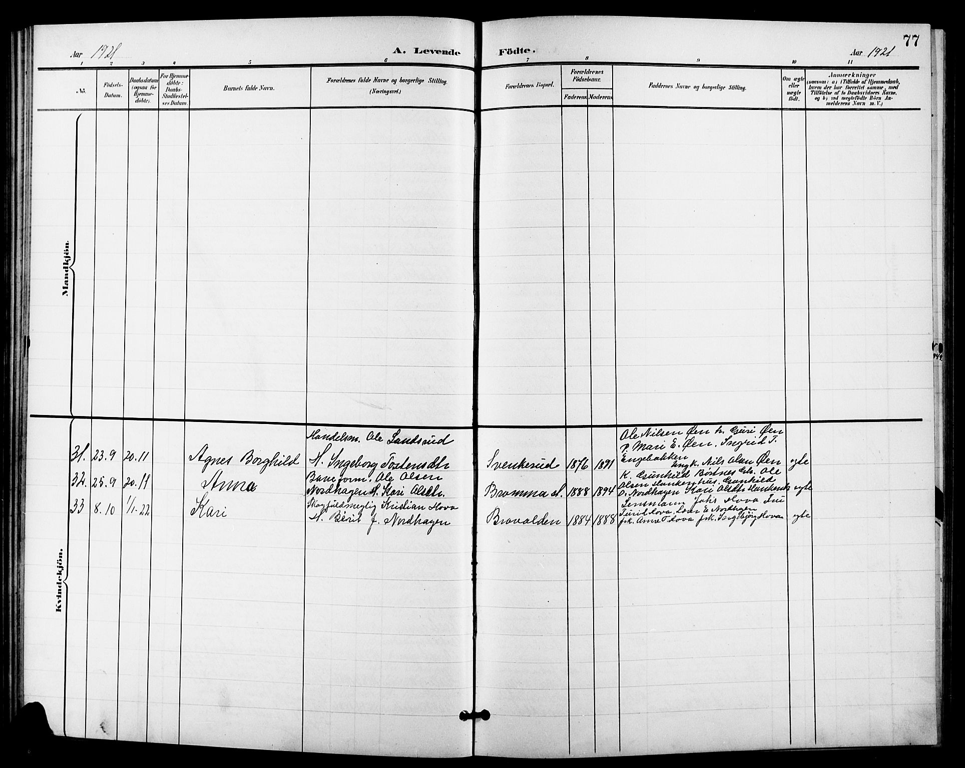 Nes kirkebøker, AV/SAKO-A-236/G/Ga/L0004: Parish register (copy) no. I 4, 1900-1925, p. 77