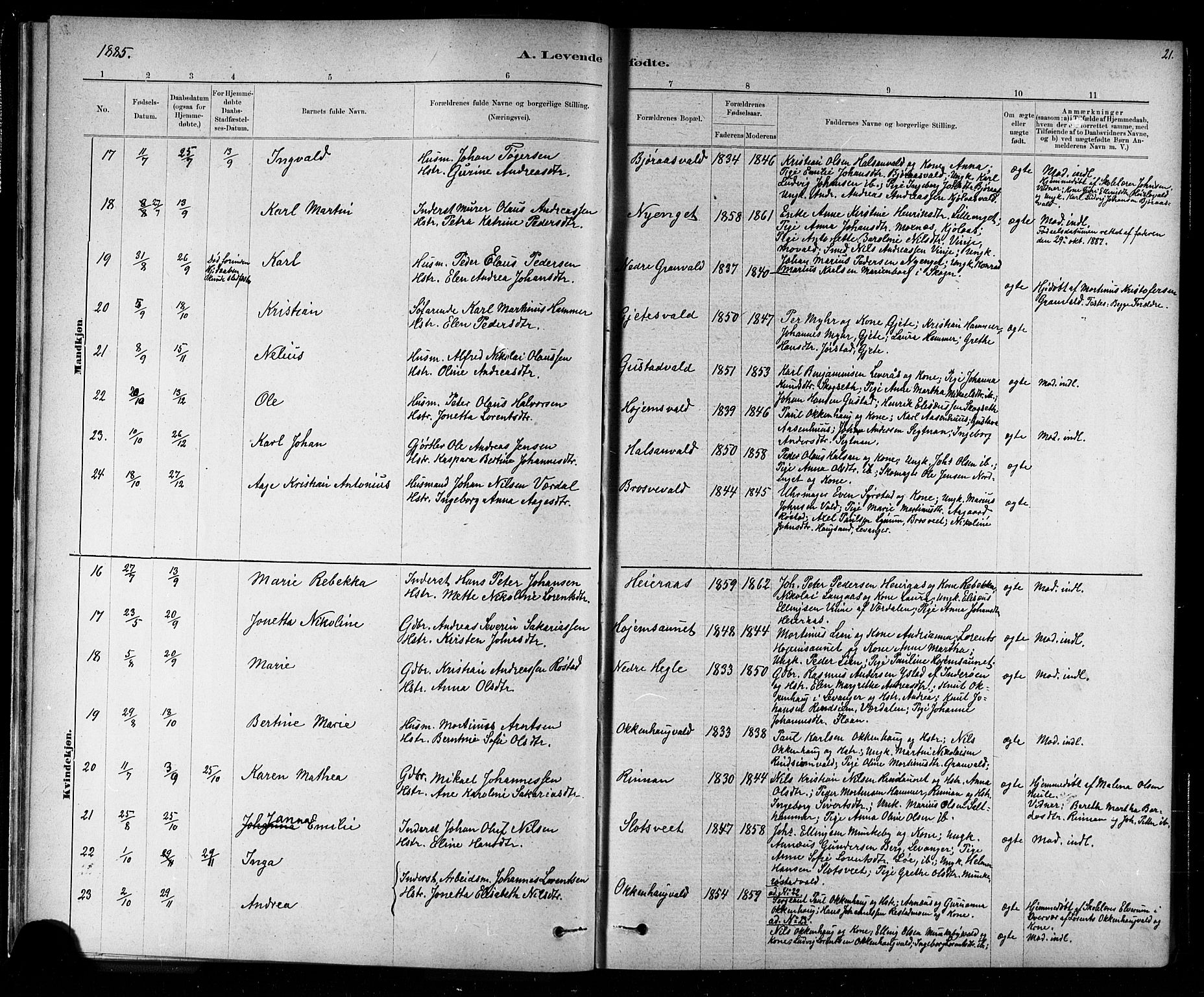 Ministerialprotokoller, klokkerbøker og fødselsregistre - Nord-Trøndelag, AV/SAT-A-1458/721/L0208: Parish register (copy) no. 721C01, 1880-1917, p. 21