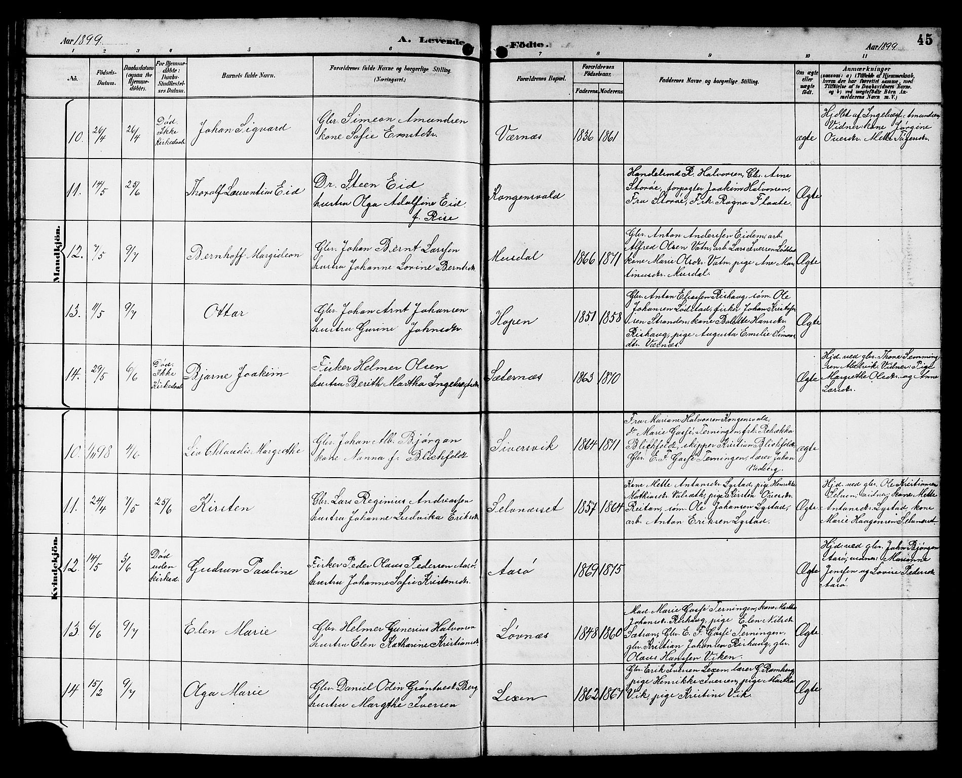 Ministerialprotokoller, klokkerbøker og fødselsregistre - Sør-Trøndelag, AV/SAT-A-1456/662/L0757: Parish register (copy) no. 662C02, 1892-1918, p. 45