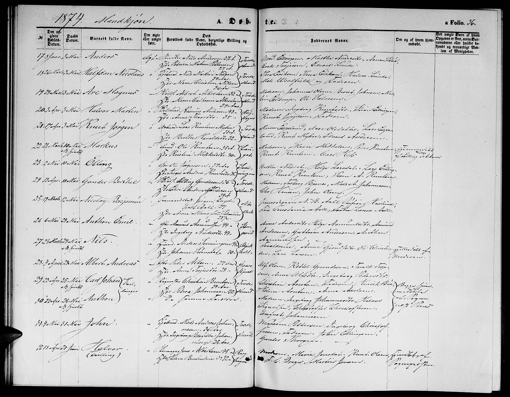 Holt sokneprestkontor, AV/SAK-1111-0021/F/Fb/L0009: Parish register (copy) no. B 9, 1871-1883, p. 36