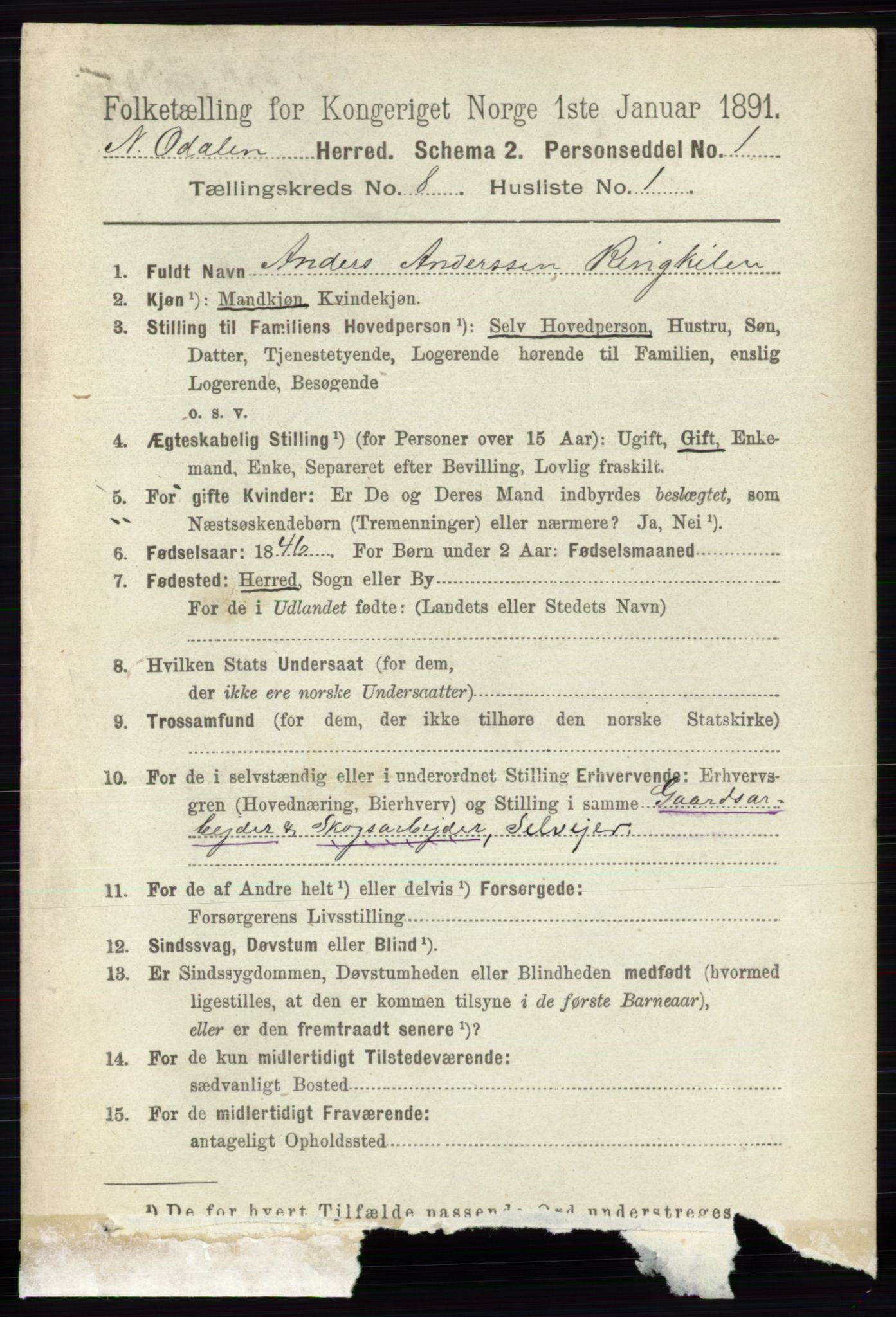 RA, 1891 census for 0418 Nord-Odal, 1891, p. 3294