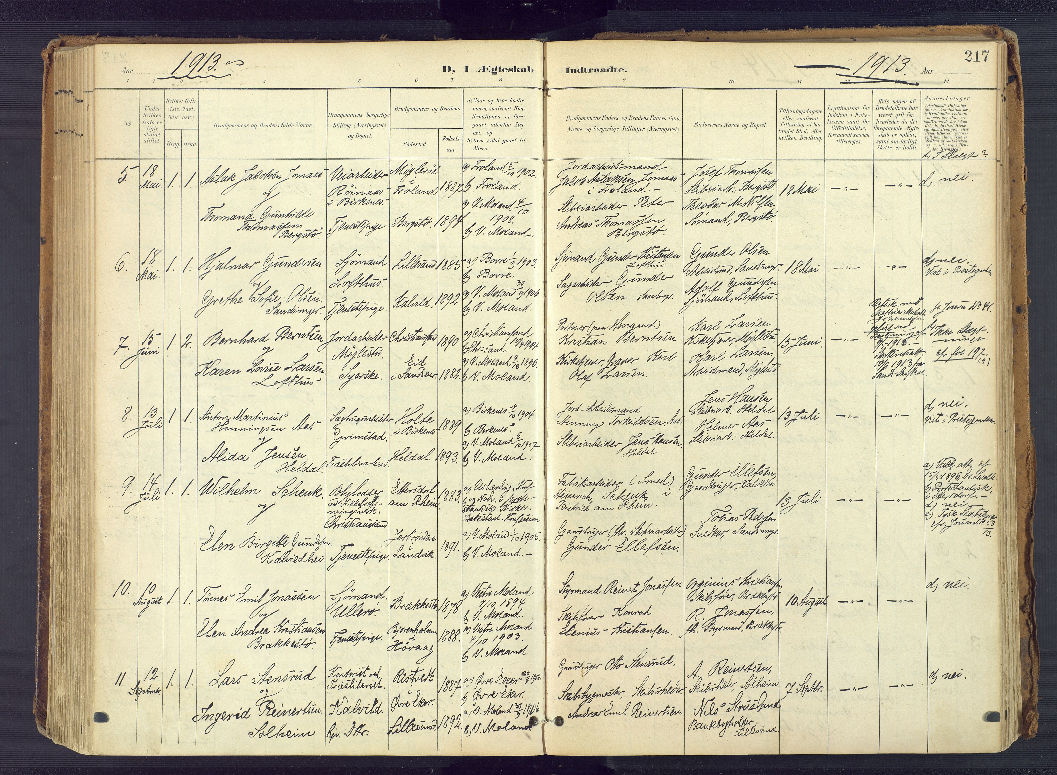 Vestre Moland sokneprestkontor, AV/SAK-1111-0046/F/Fa/Fab/L0010: Parish register (official) no. A 10, 1900-1926, p. 217