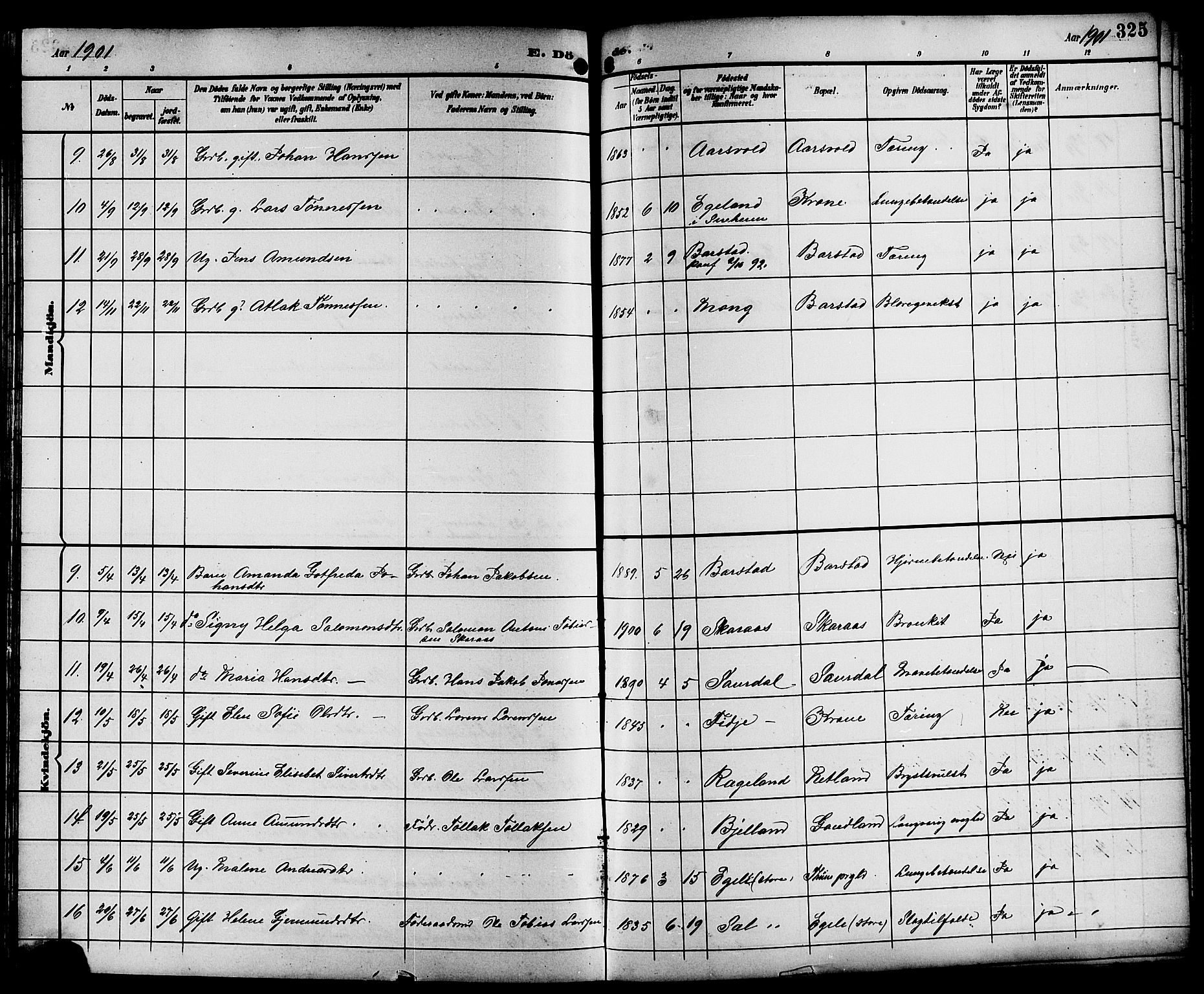 Sokndal sokneprestkontor, AV/SAST-A-101808: Parish register (copy) no. B 6, 1892-1907, p. 325