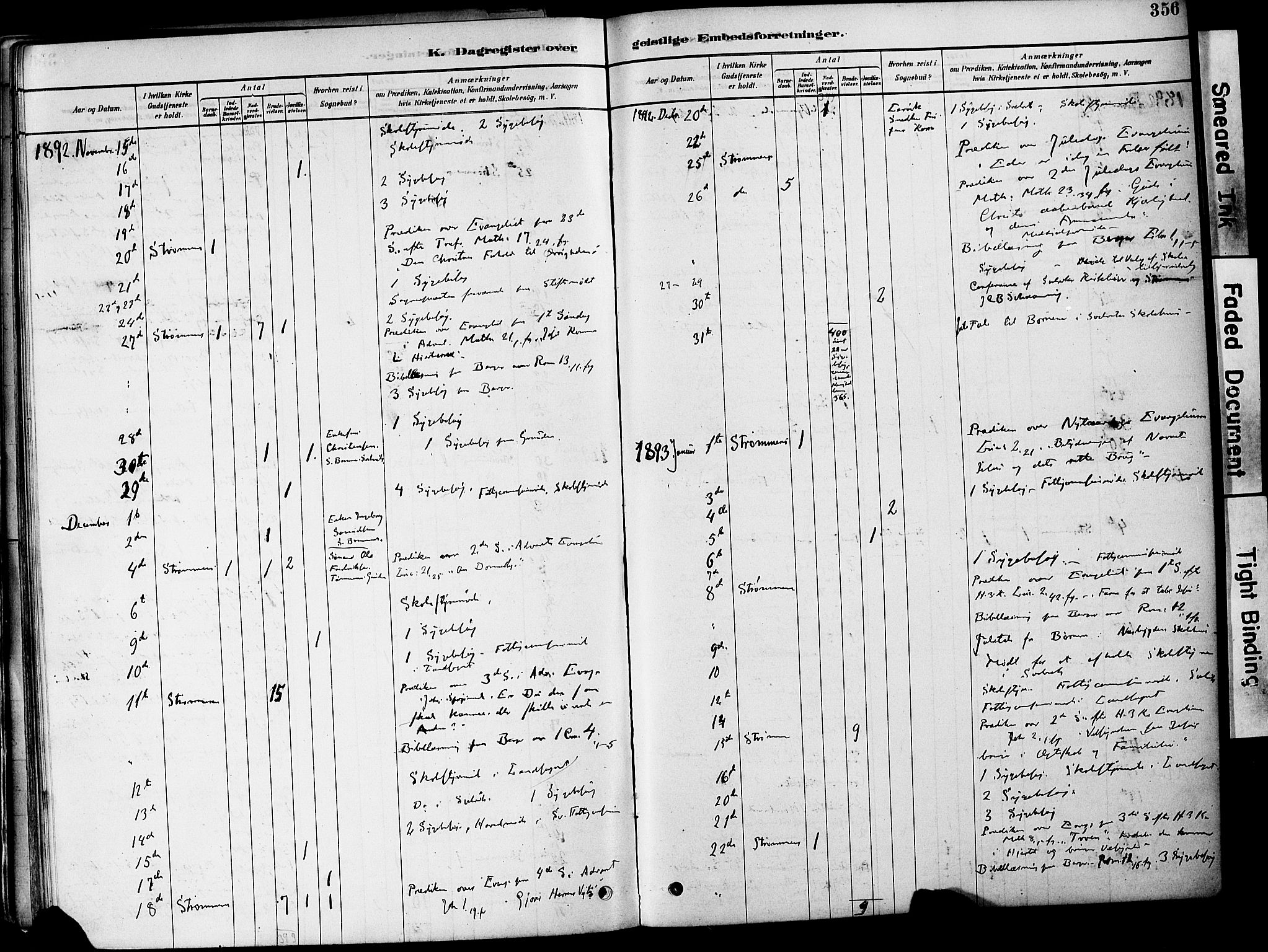 Strømm kirkebøker, AV/SAKO-A-322/F/Fa/L0004: Parish register (official) no. I 4, 1878-1899, p. 356