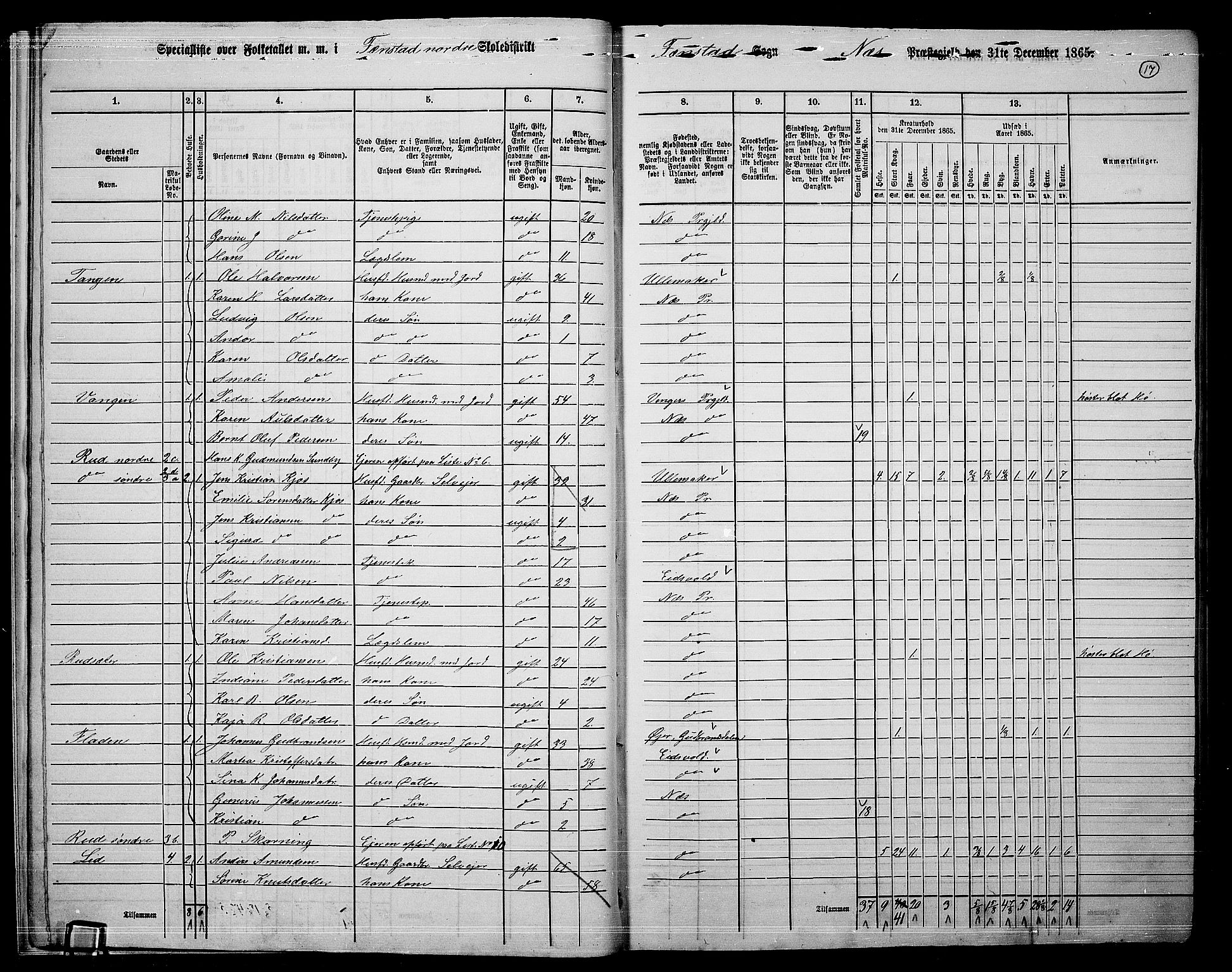 RA, 1865 census for Nes, 1865, p. 16