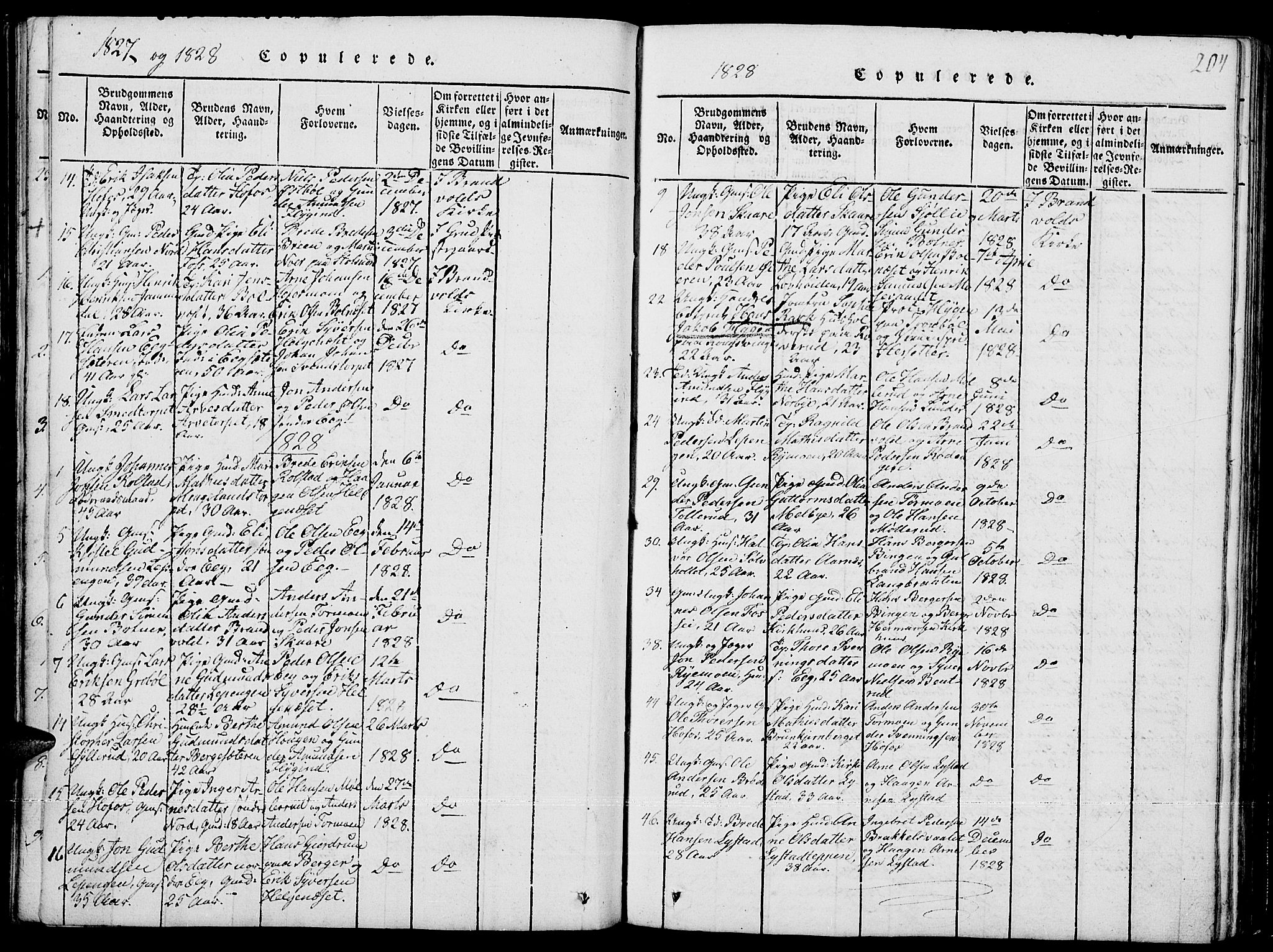 Grue prestekontor, SAH/PREST-036/H/Ha/Hab/L0001: Parish register (copy) no. 1, 1814-1841, p. 204