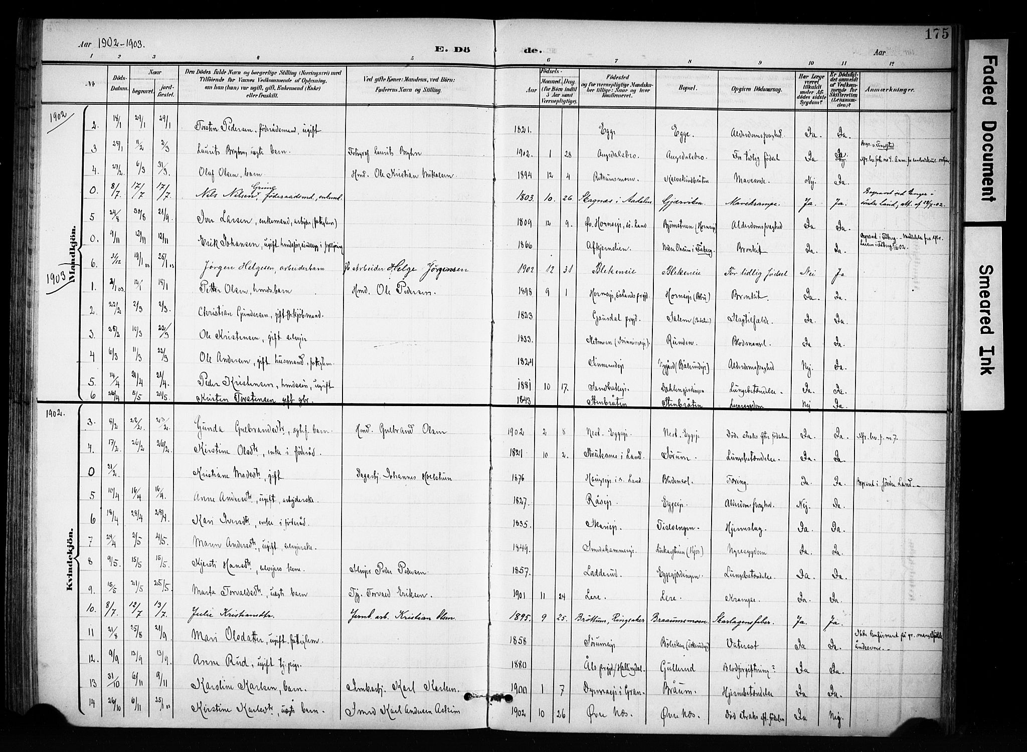 Brandbu prestekontor, AV/SAH-PREST-114/H/Ha/Haa/L0001: Parish register (official) no. 1, 1900-1912, p. 175