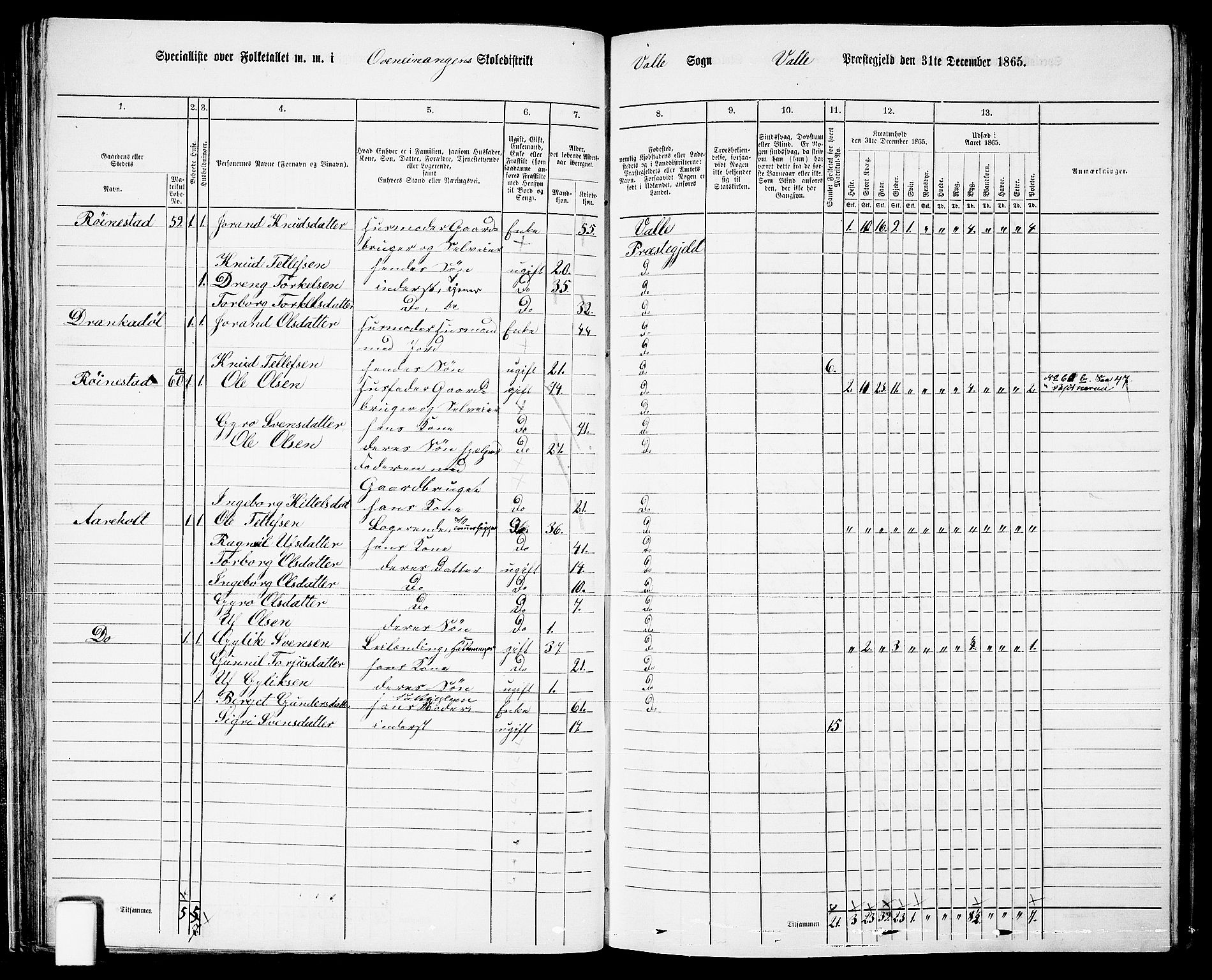 RA, 1865 census for Valle, 1865, p. 58