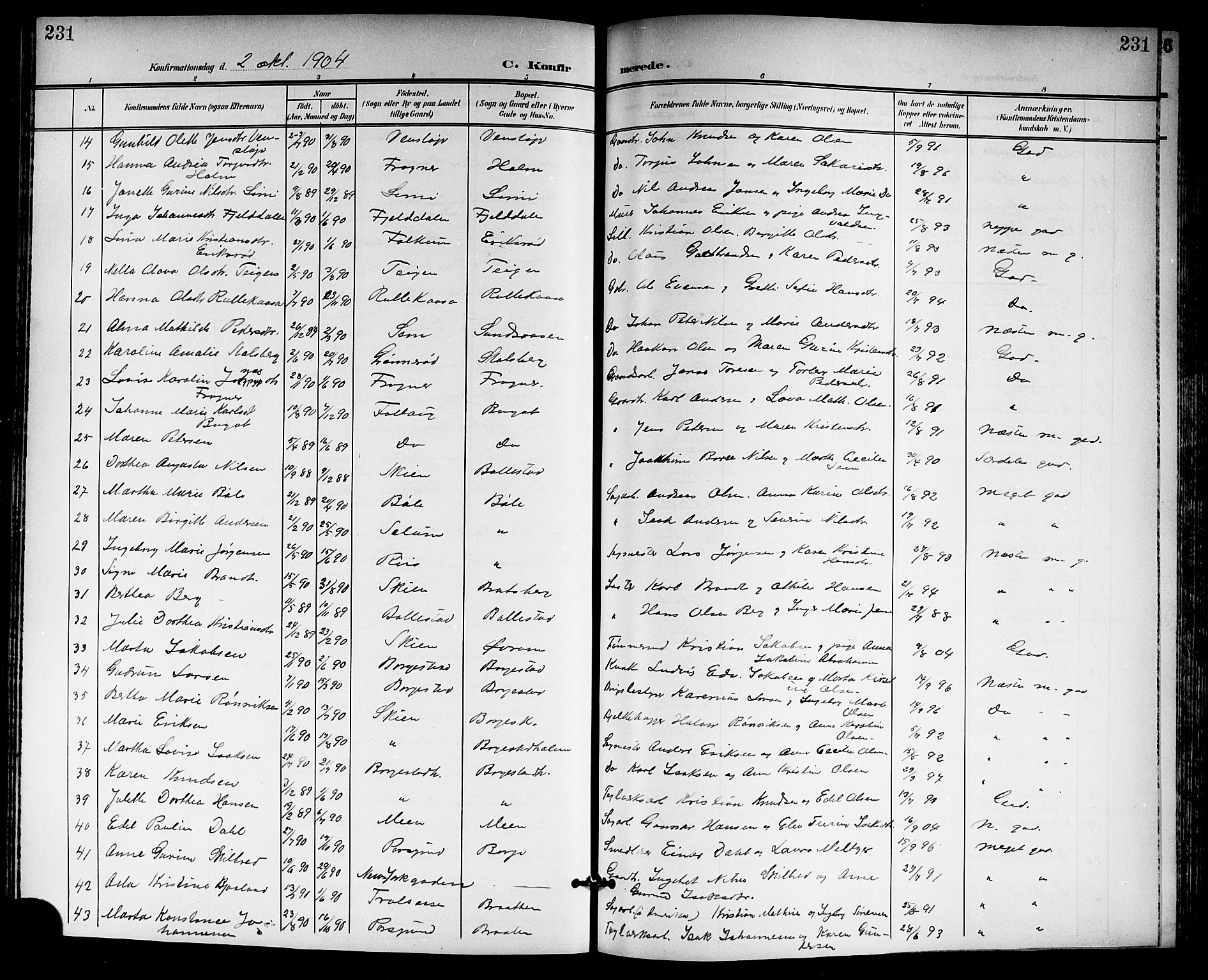 Gjerpen kirkebøker, SAKO/A-265/G/Ga/L0003: Parish register (copy) no. I 3, 1901-1919, p. 231