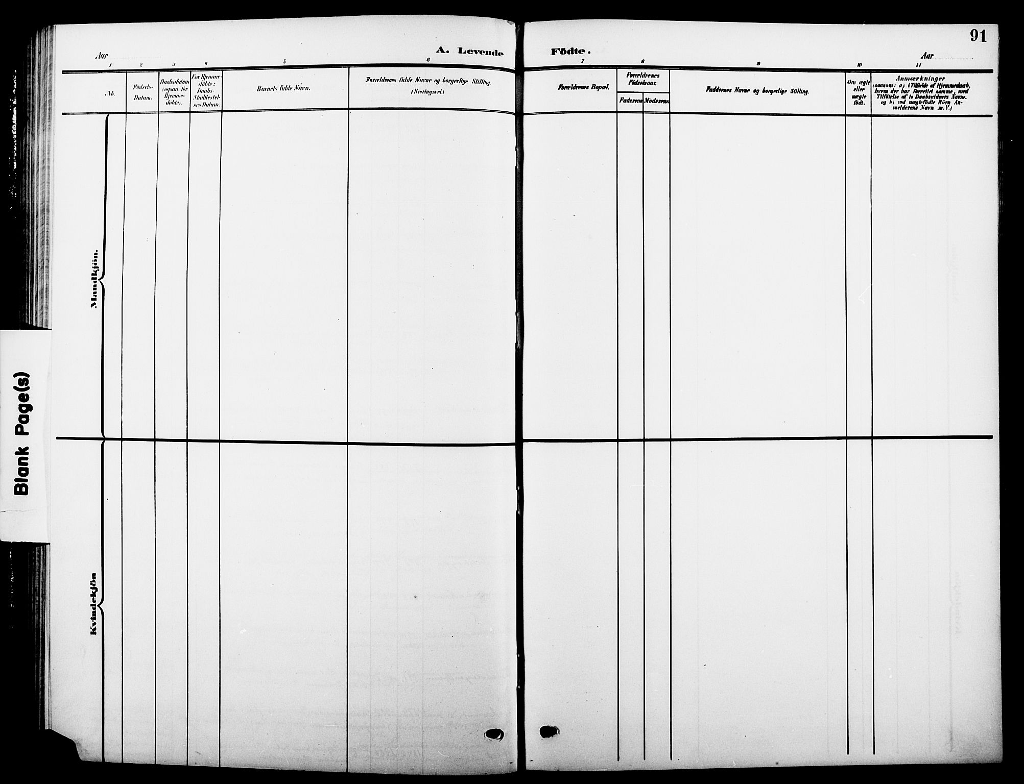 Hole kirkebøker, SAKO/A-228/G/Ga/L0004: Parish register (copy) no. I 4, 1905-1924, p. 91