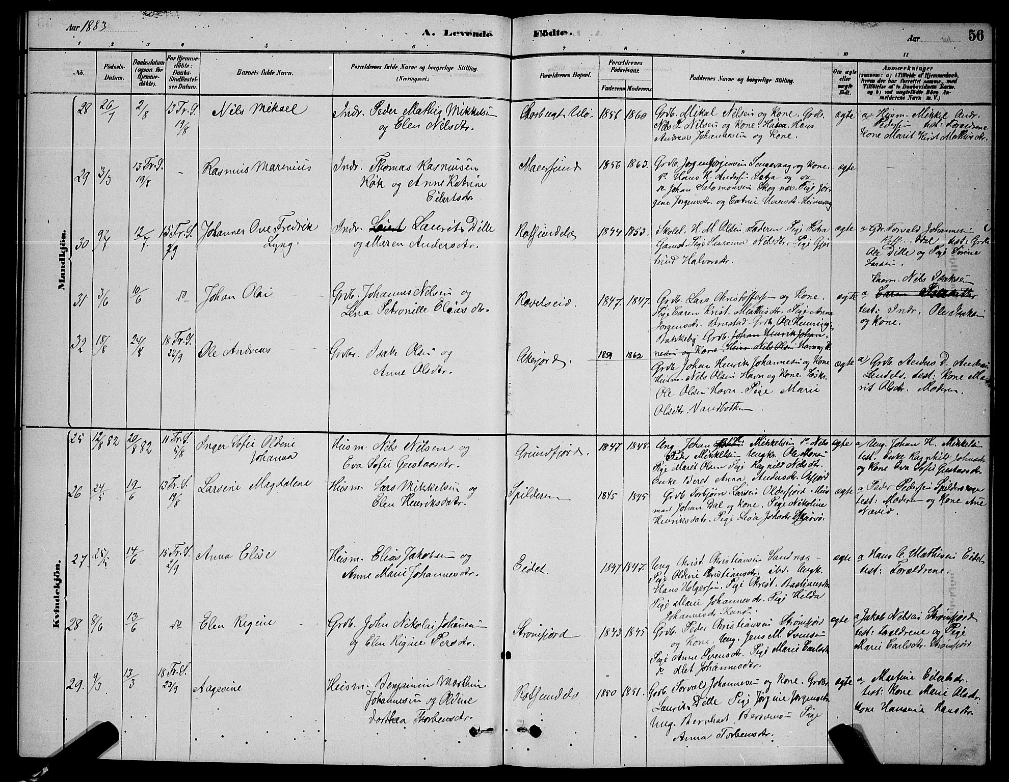 Skjervøy sokneprestkontor, AV/SATØ-S-1300/H/Ha/Hab/L0006klokker: Parish register (copy) no. 6, 1878-1888, p. 56