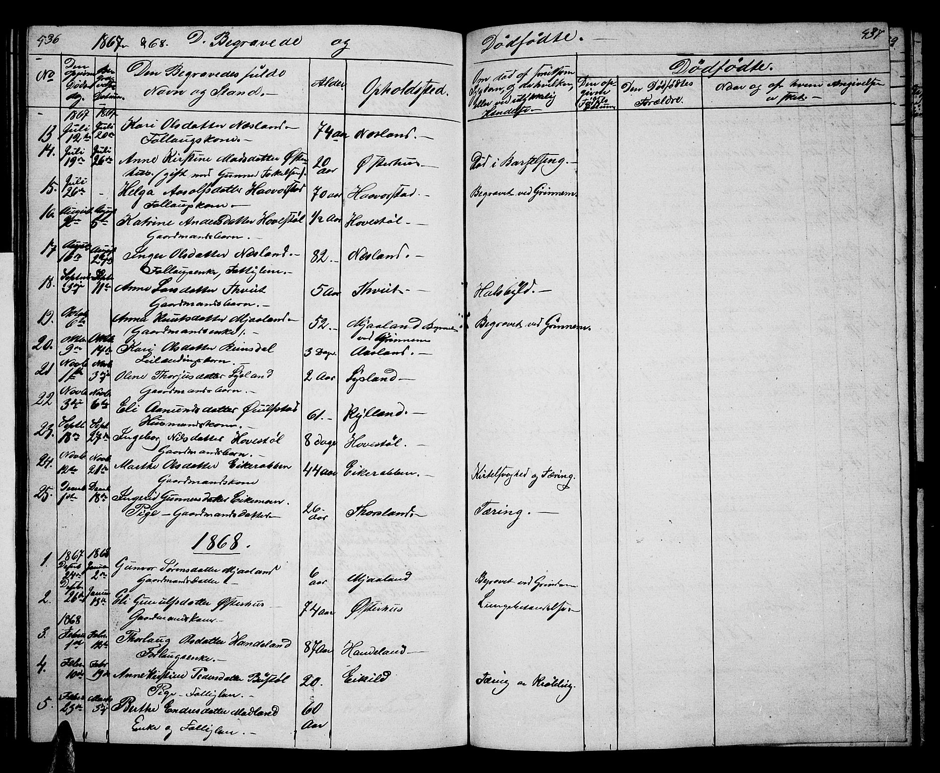 Åseral sokneprestkontor, SAK/1111-0051/F/Fb/L0001: Parish register (copy) no. B 1, 1856-1877, p. 436-437