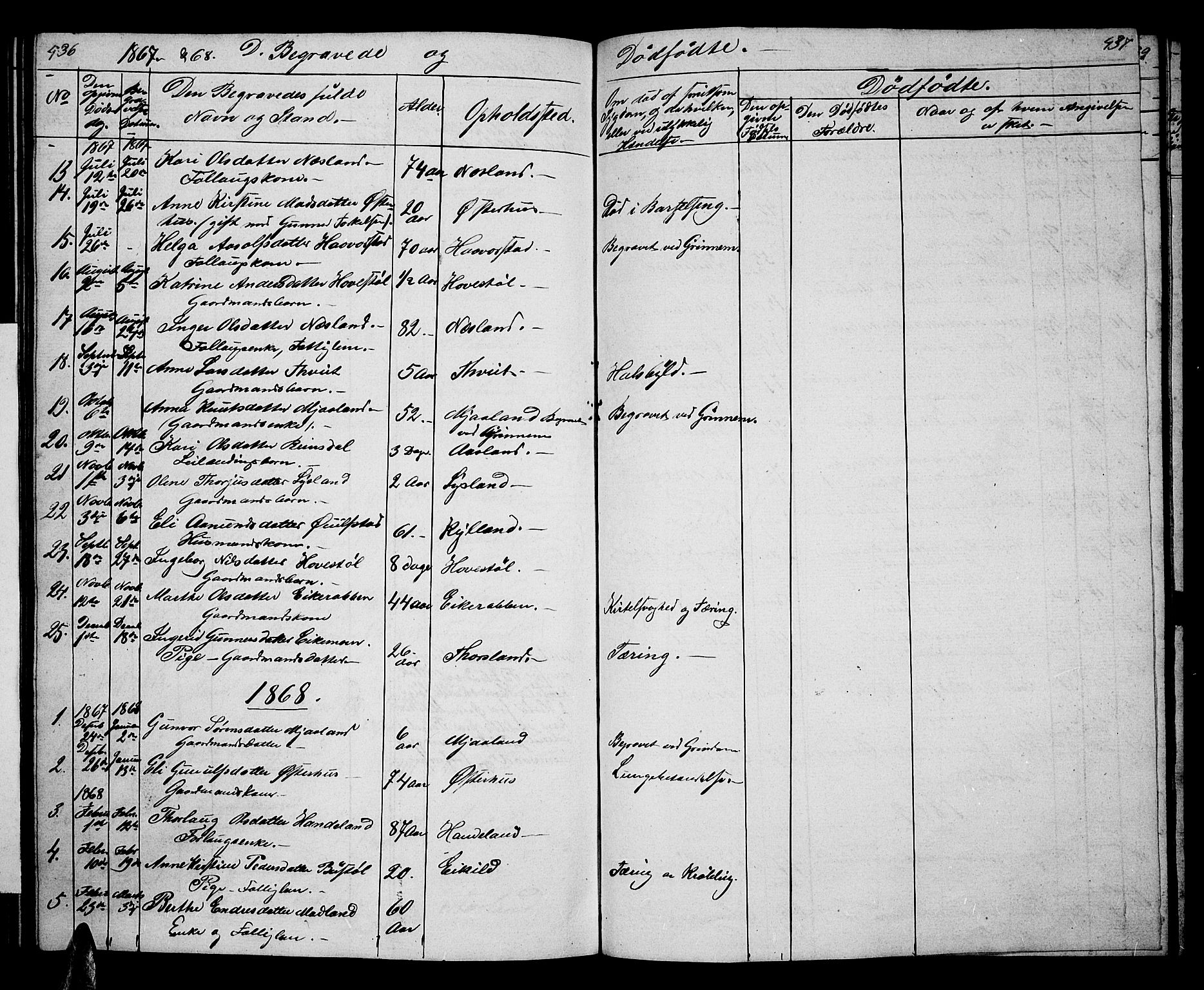 Åseral sokneprestkontor, AV/SAK-1111-0051/F/Fb/L0001: Parish register (copy) no. B 1, 1856-1877, p. 436-437