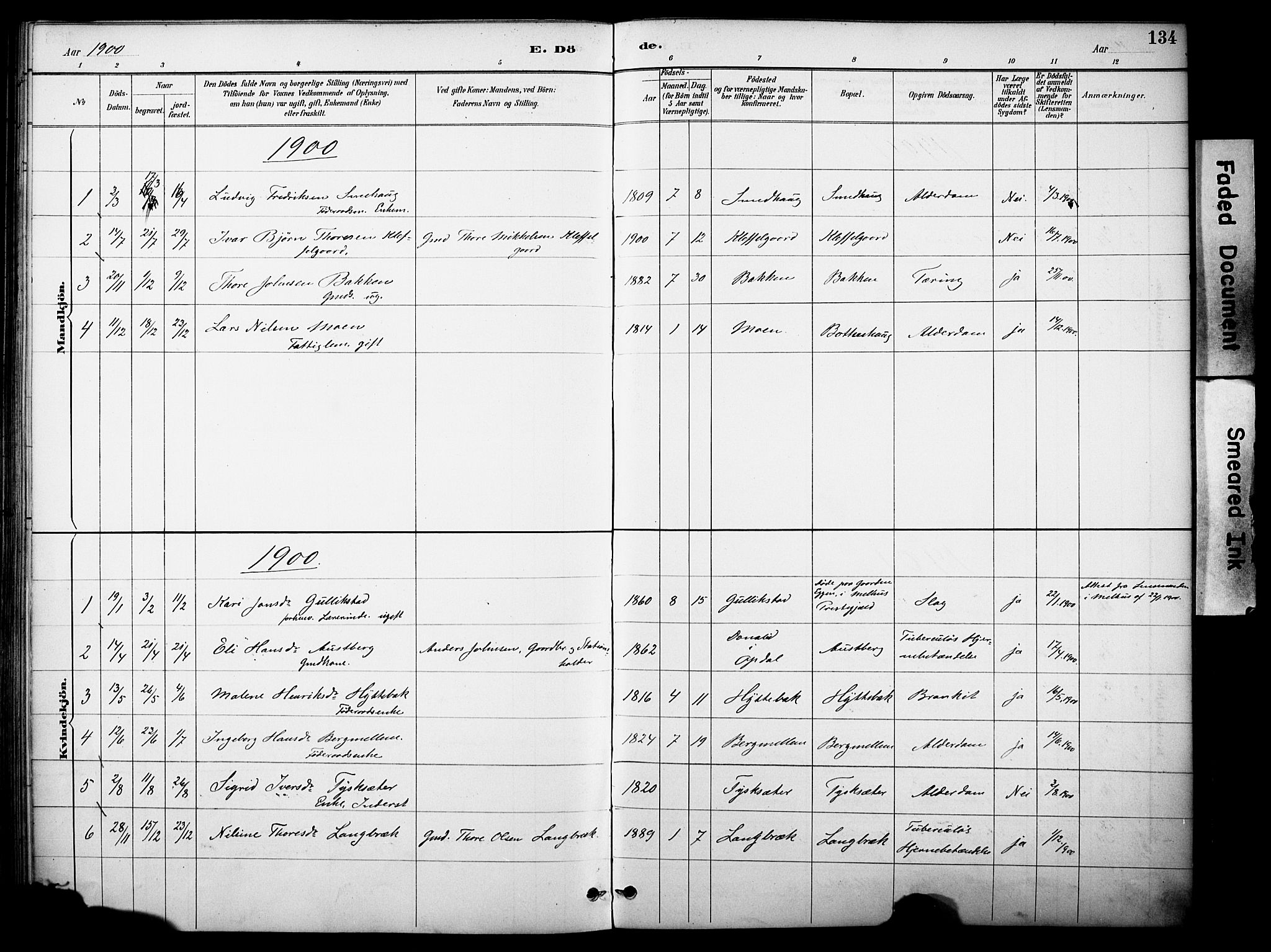 Kvikne prestekontor, SAH/PREST-064/H/Ha/Haa/L0007: Parish register (official) no. 7, 1887-1911, p. 134