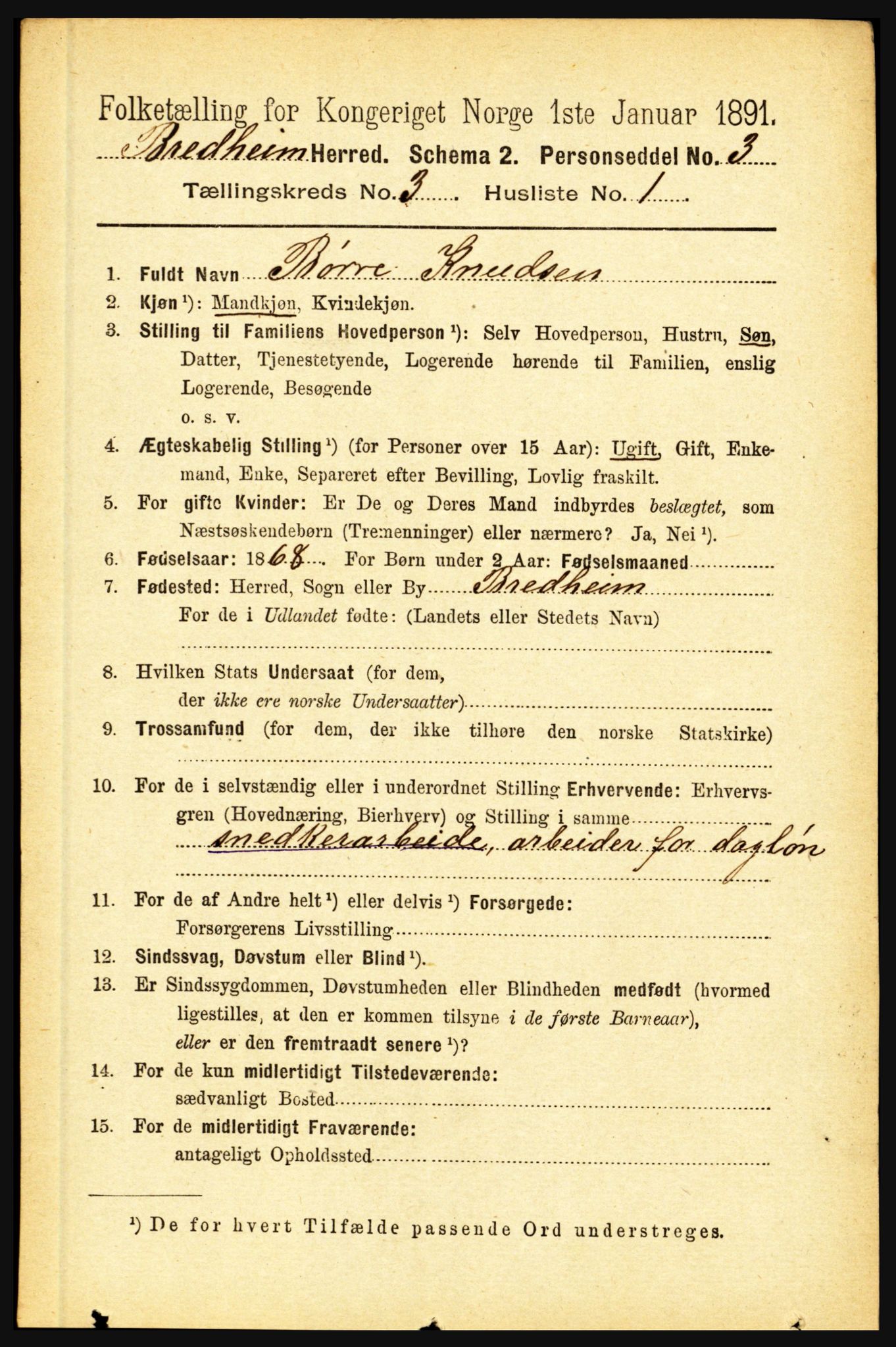 RA, 1891 census for 1446 Breim, 1891, p. 879