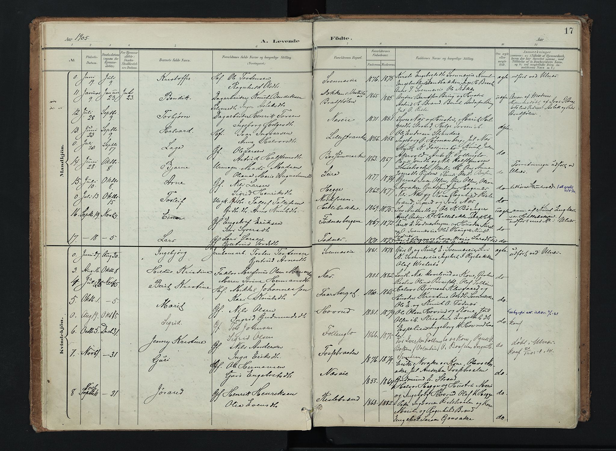 Nord-Aurdal prestekontor, AV/SAH-PREST-132/H/Ha/Haa/L0016: Parish register (official) no. 16, 1897-1925, p. 17