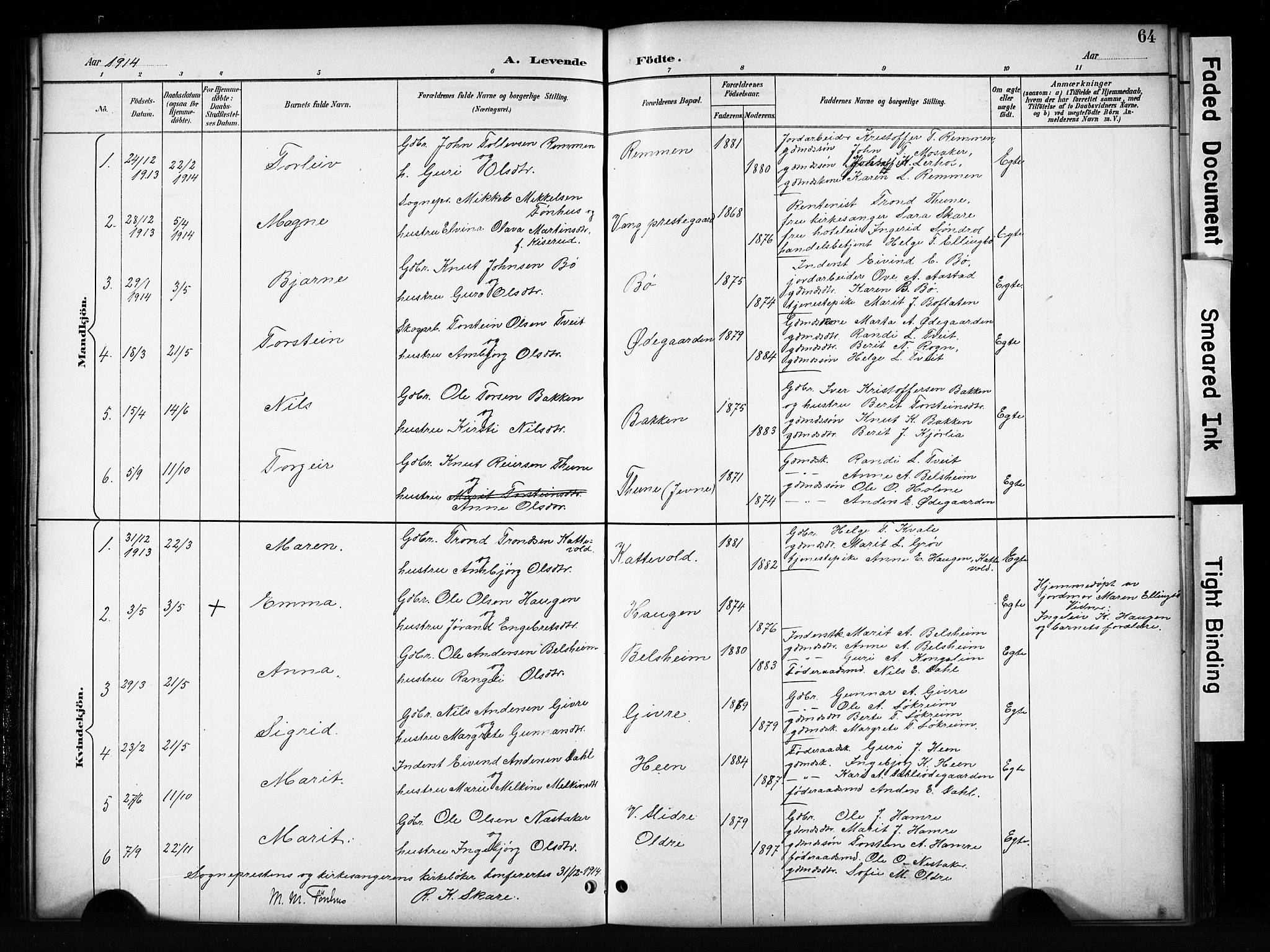 Vang prestekontor, Valdres, AV/SAH-PREST-140/H/Hb/L0006: Parish register (copy) no. 6, 1893-1918, p. 64