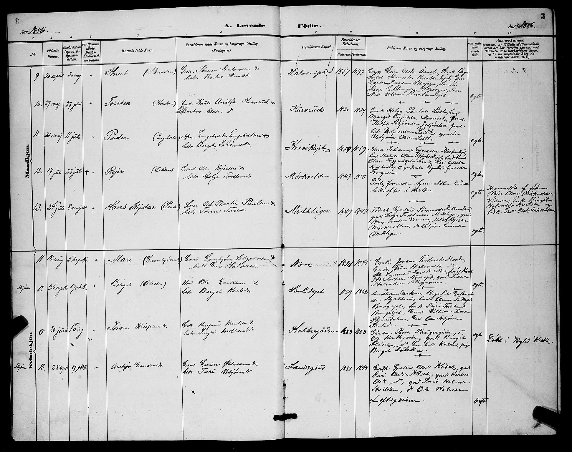 Nore kirkebøker, SAKO/A-238/G/Ga/L0003: Parish register (copy) no. I 3, 1886-1903, p. 3