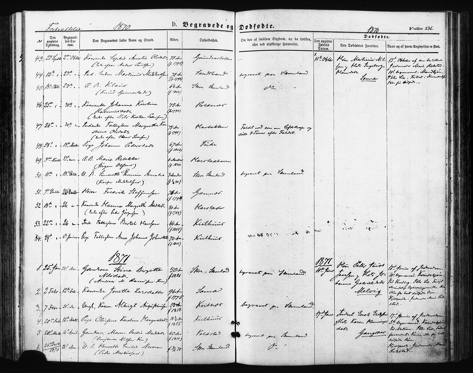 Trondenes sokneprestkontor, SATØ/S-1319/H/Ha/L0013kirke: Parish register (official) no. 13, 1870-1878, p. 236