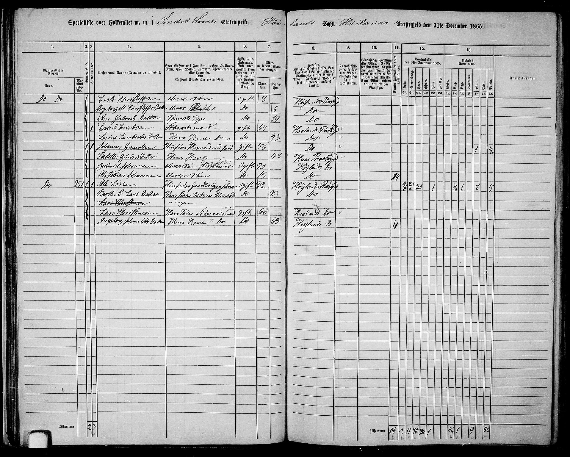 RA, 1865 census for Høyland, 1865, p. 40