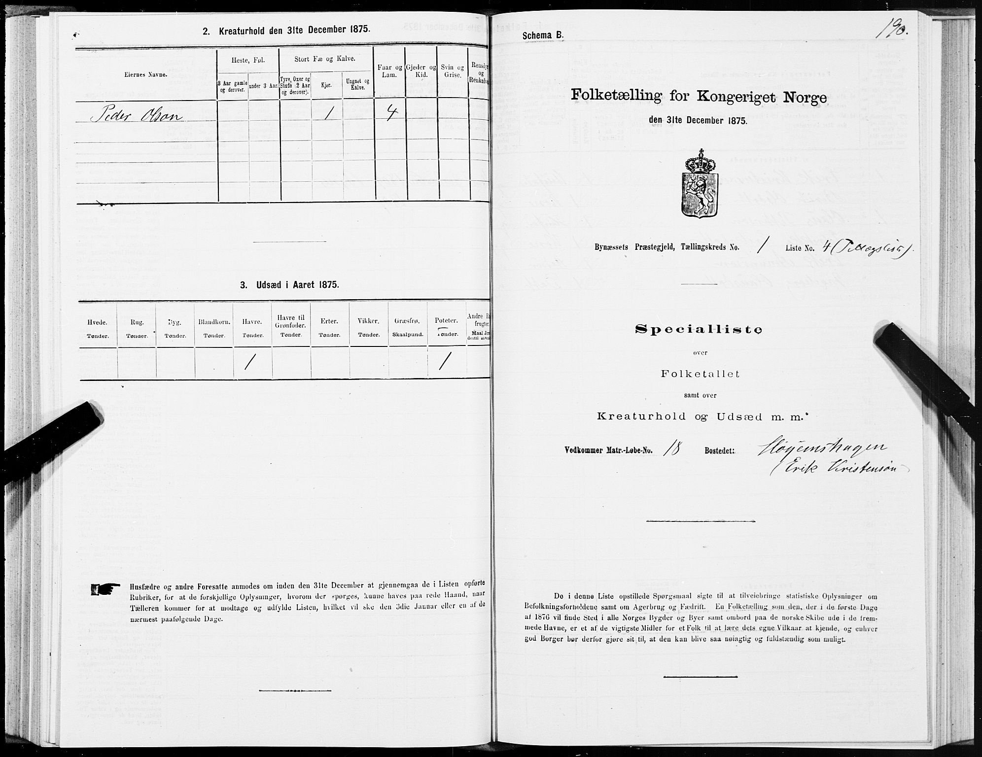 SAT, 1875 census for 1655P Byneset, 1875, p. 1190